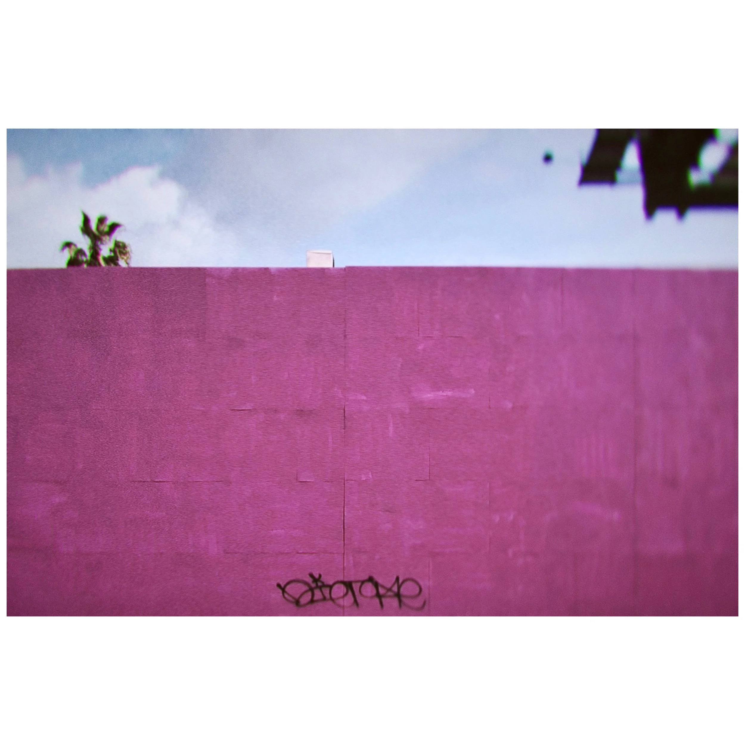 Whitagram-Image 48.JPG