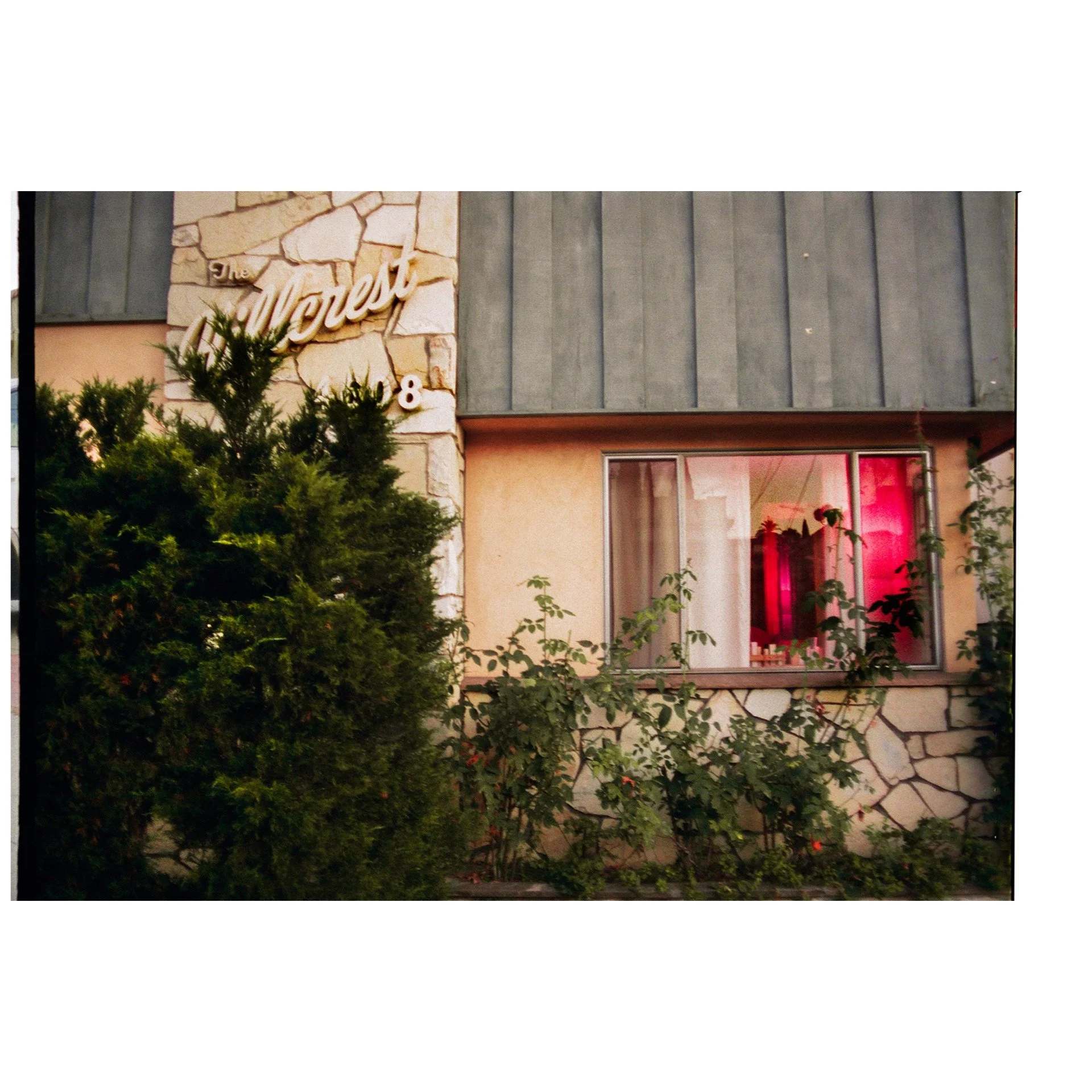 Whitagram-Image 41.JPG