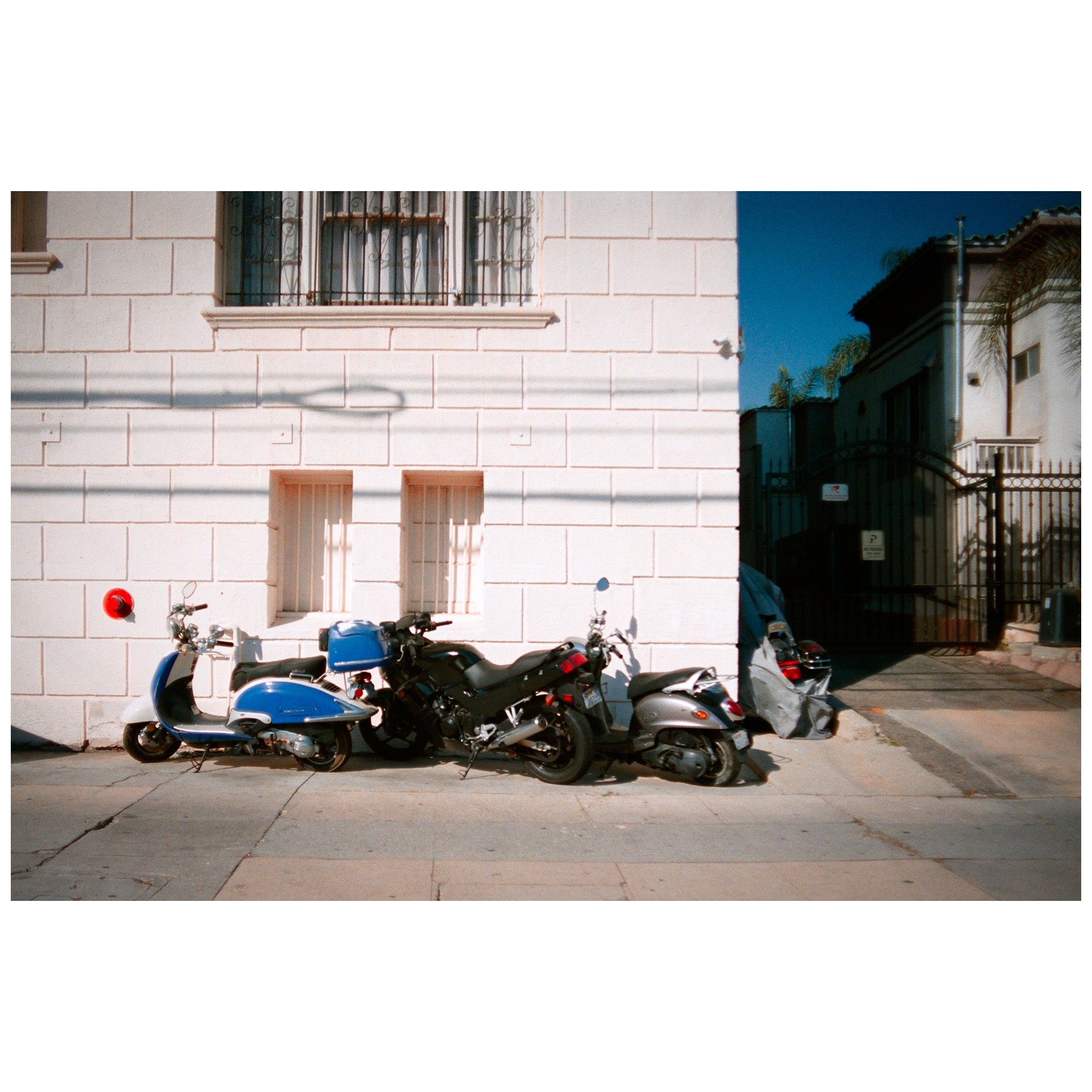 Whitagram-Image 54.JPG