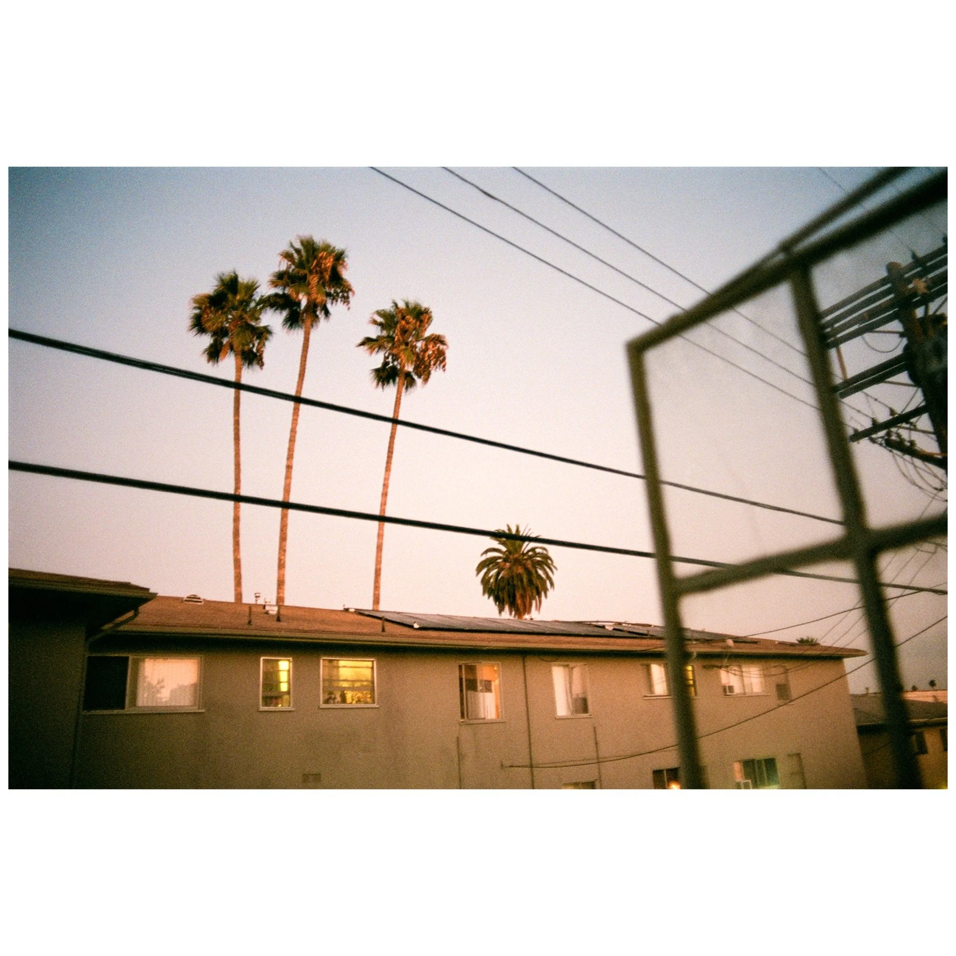 Whitagram-Image 39.JPG