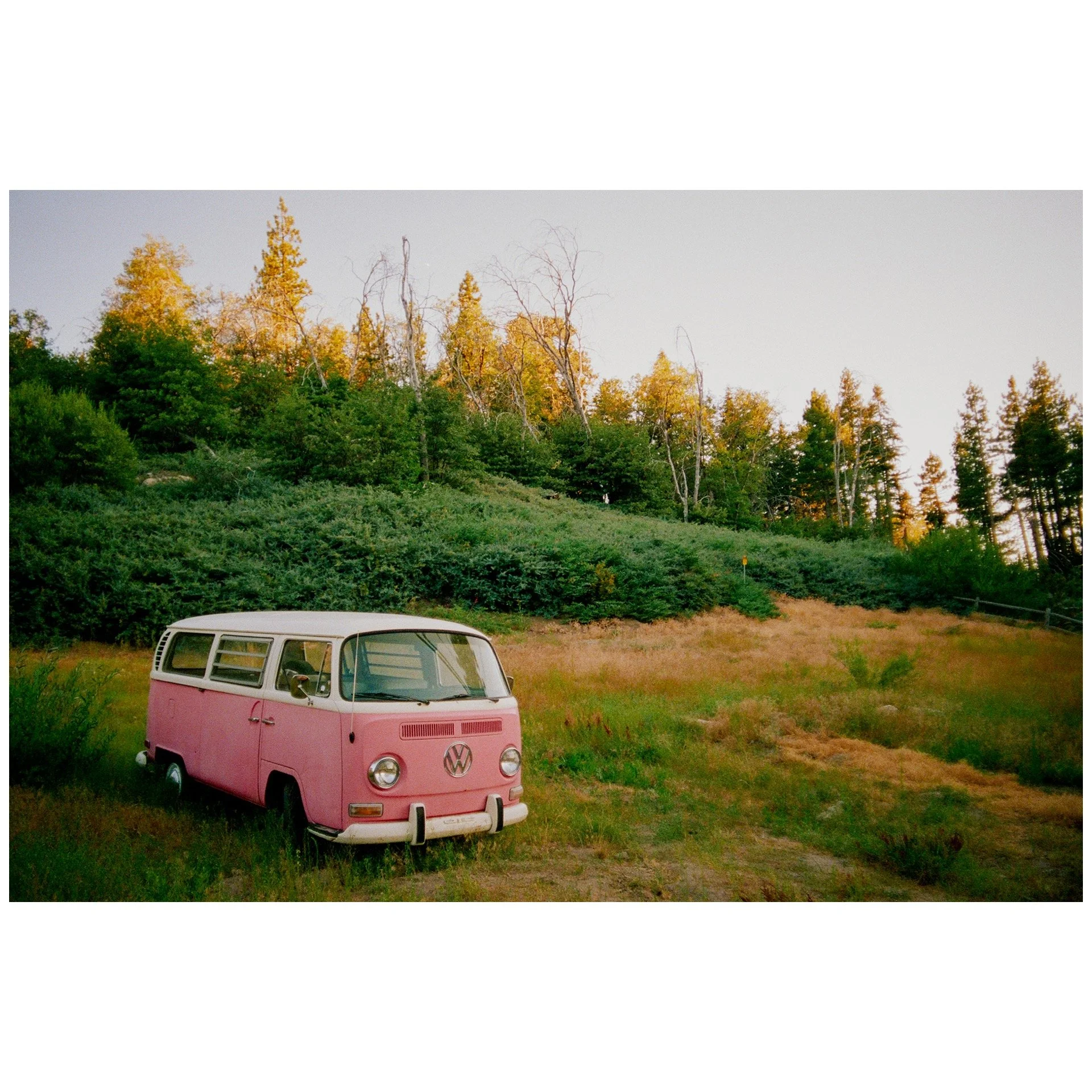 Whitagram-Image 35.JPG