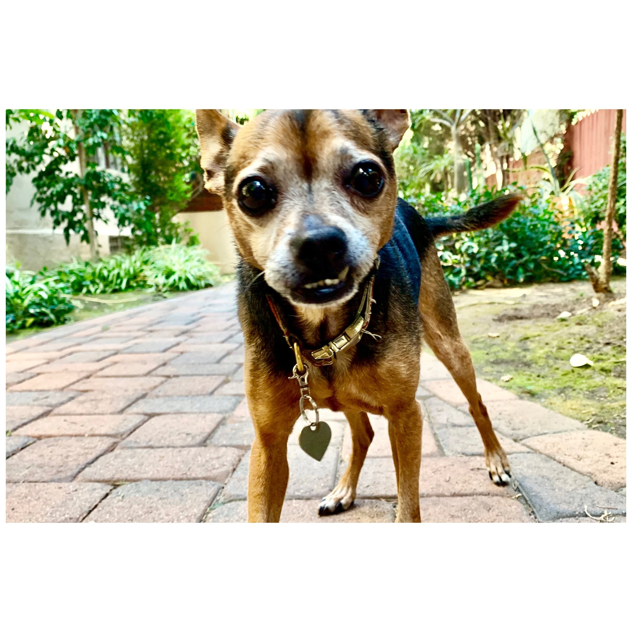 Whitagram-Image 32.JPG