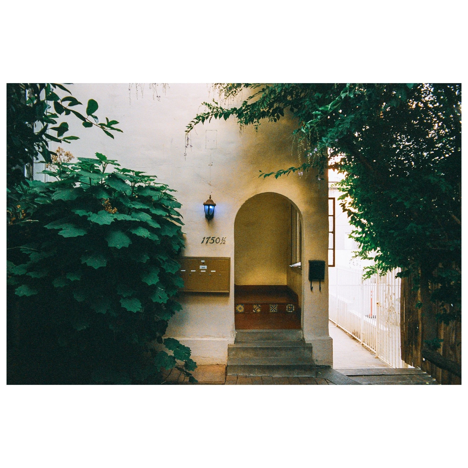 Whitagram-Image 16.JPG