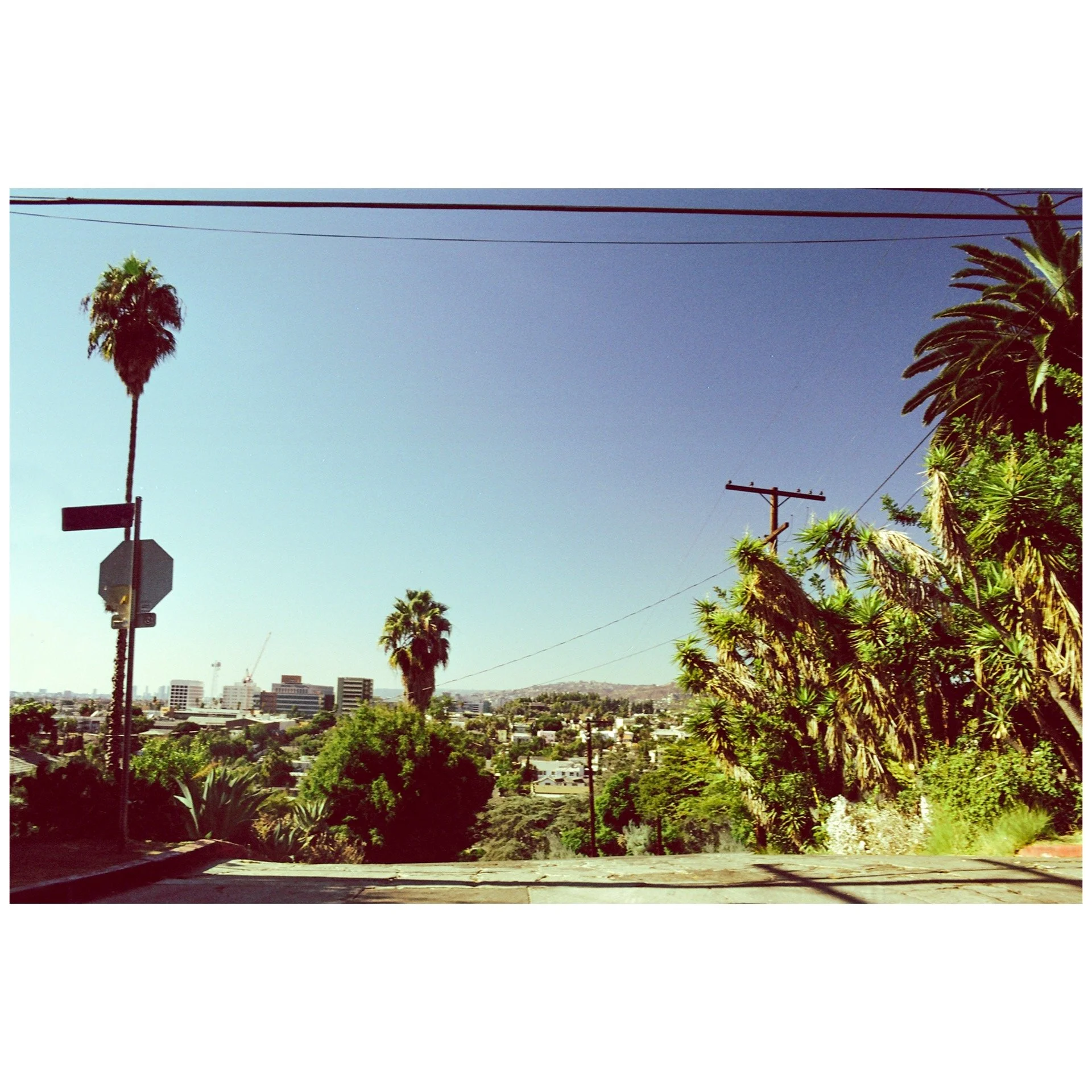 Whitagram-Image 58.JPG