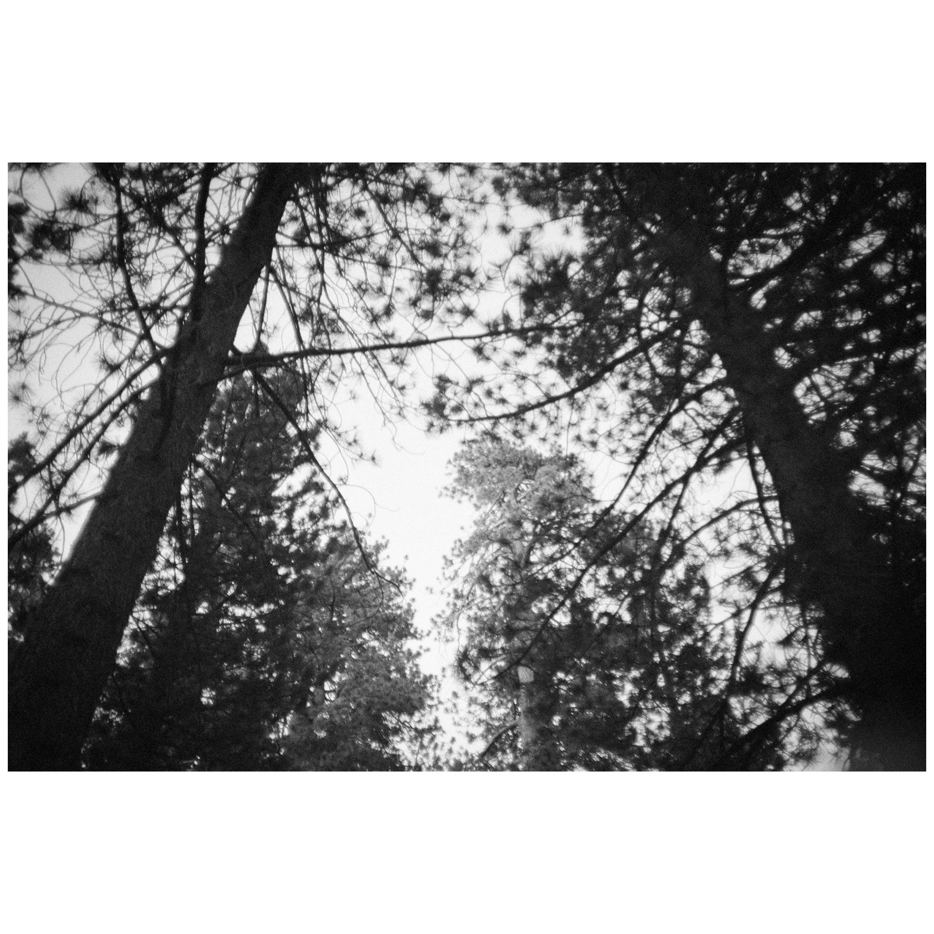 Whitagram-Image 4.JPG