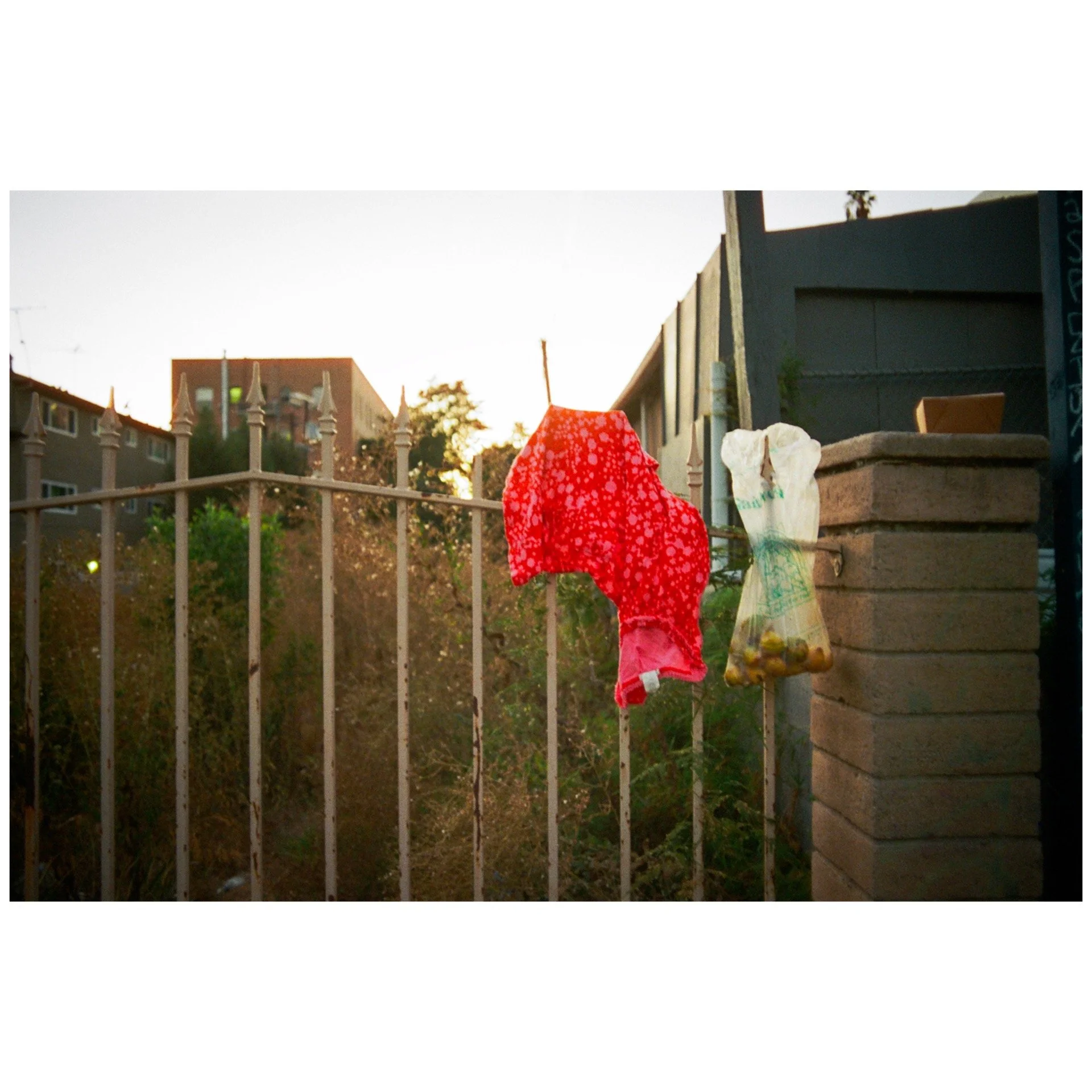 Whitagram-Image 52.JPG