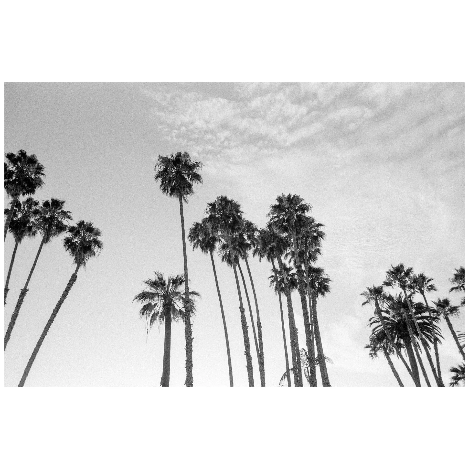 Whitagram-Image 6.JPG