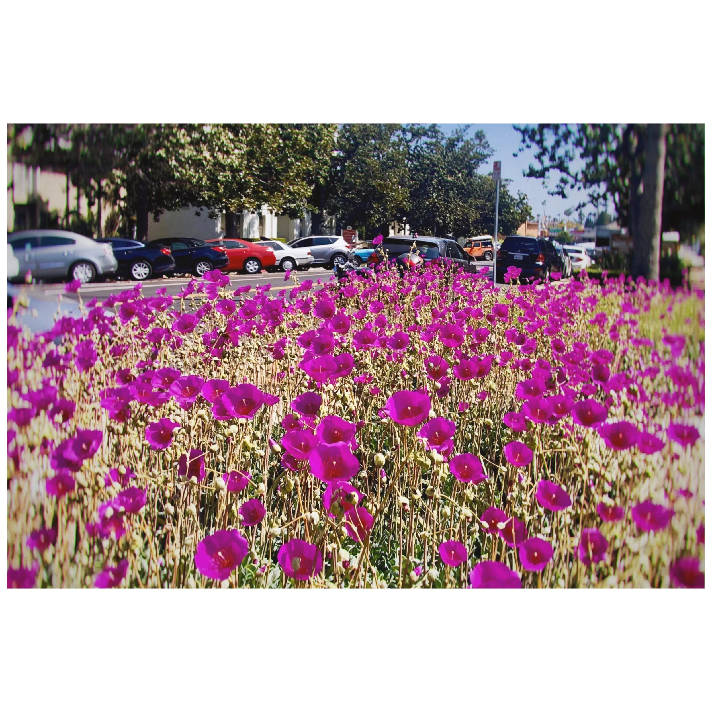 Whitagram-Image 30.JPG