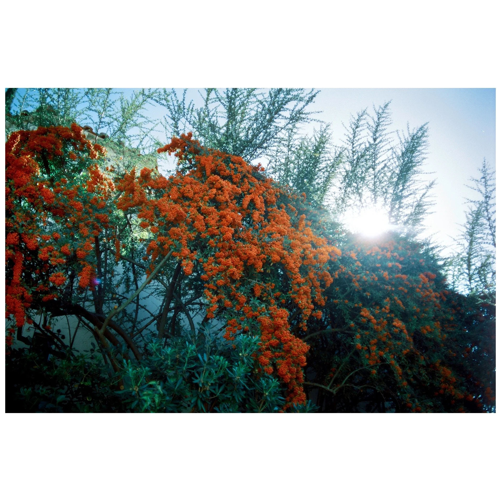 Whitagram-Image 60.JPG