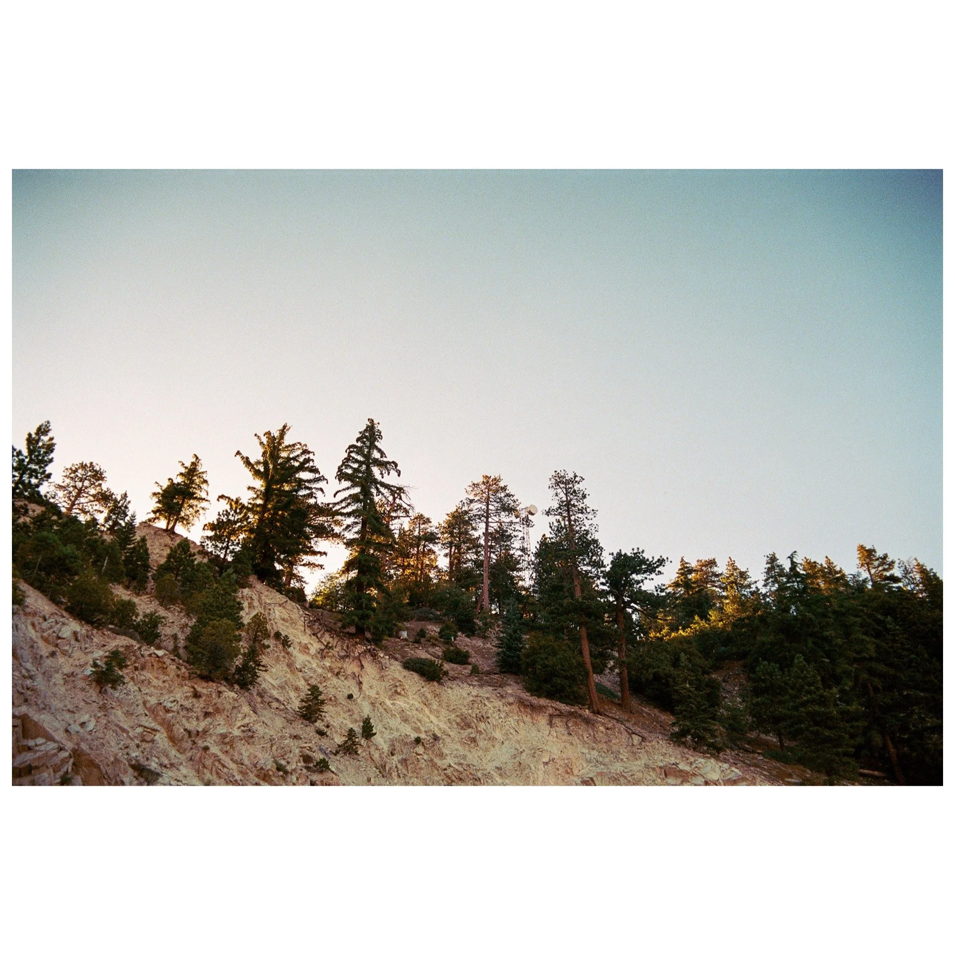 Whitagram-Image 14.JPG