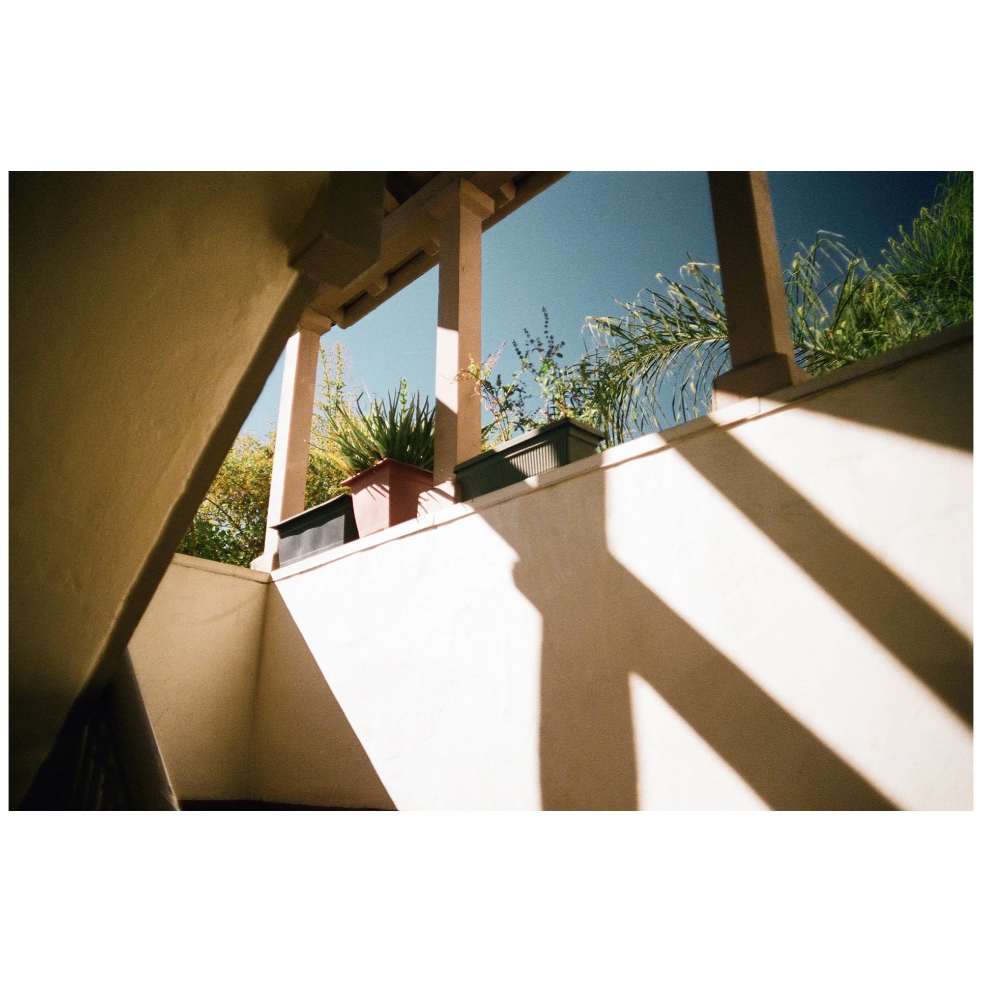 Whitagram-Image 53.JPG