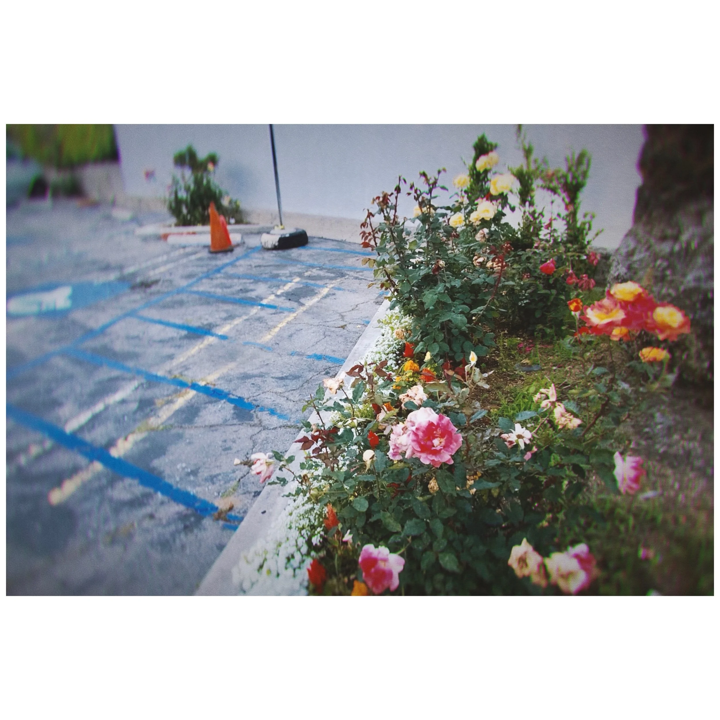 Whitagram-Image 43.JPG