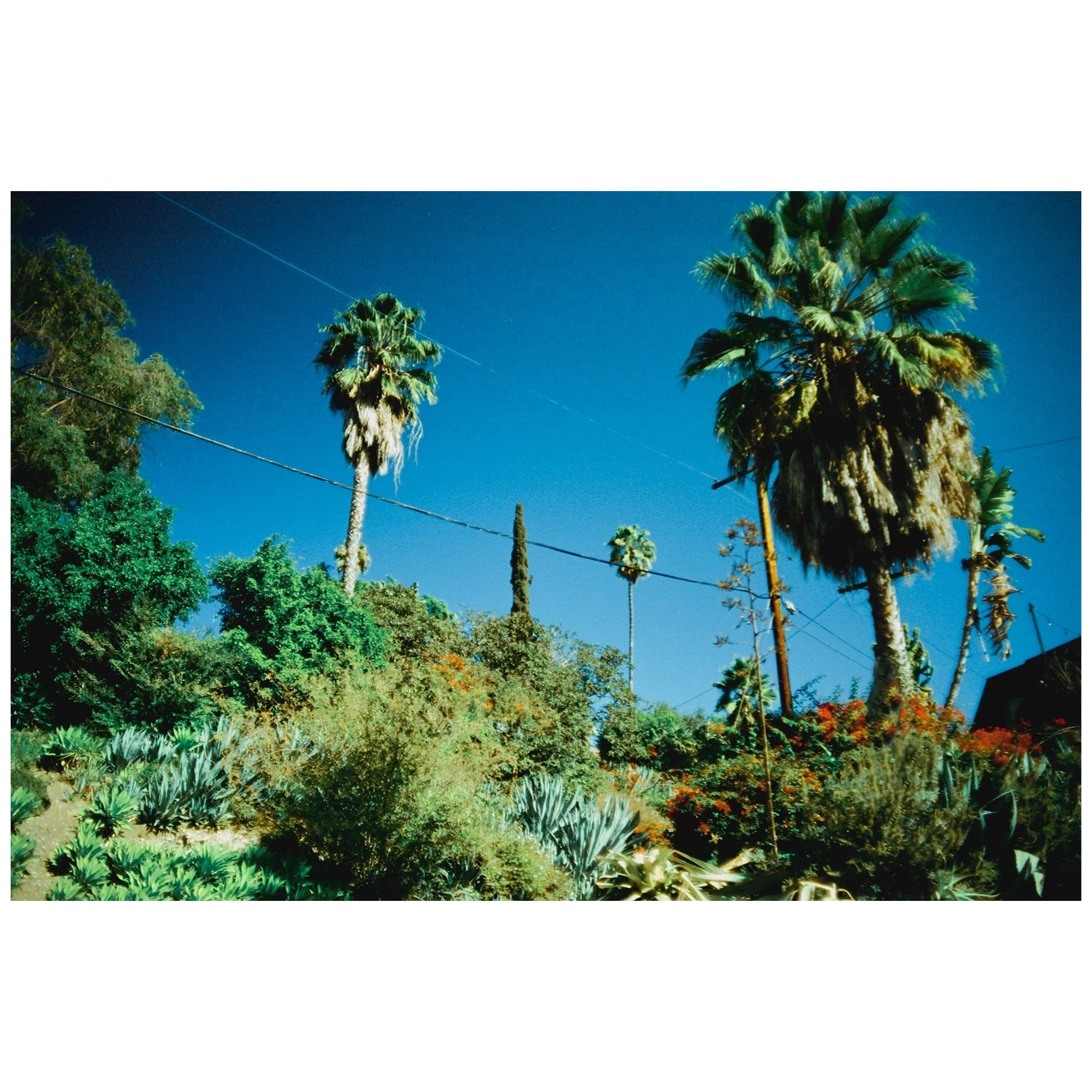 Whitagram-Image 56.JPG