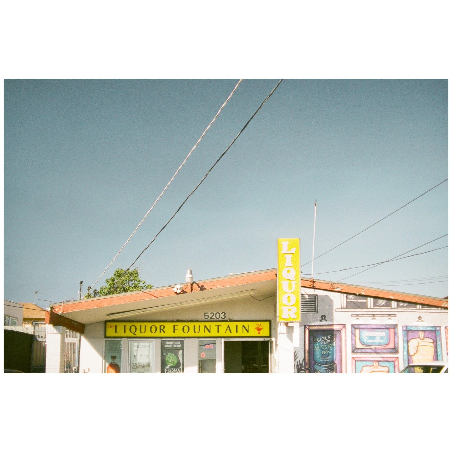 Whitagram-Image 55.JPG