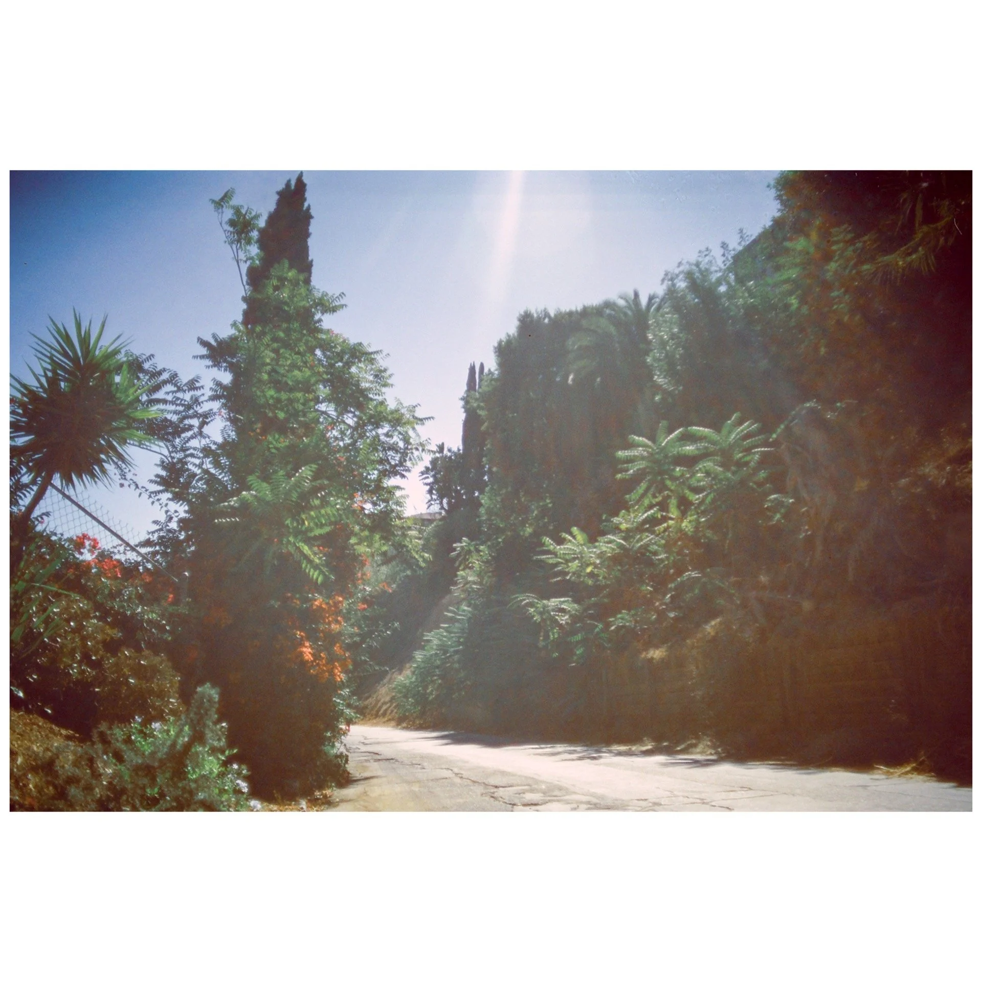 Whitagram-Image 57.JPG