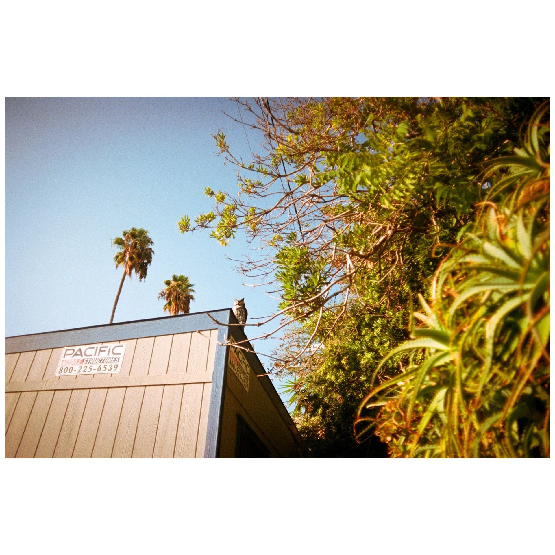 Whitagram-Image 50.JPG