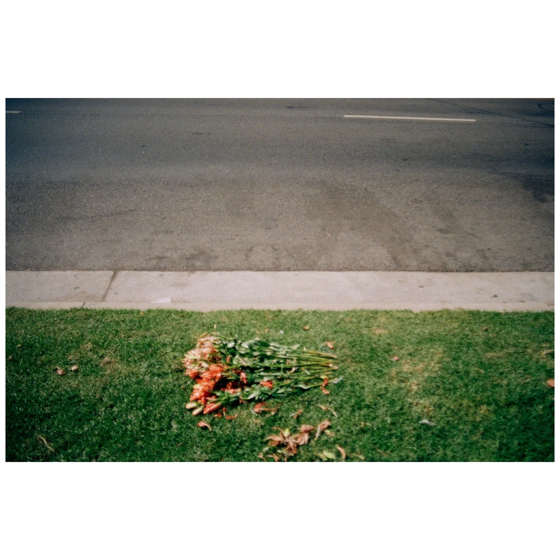 Whitagram-Image 38.JPG