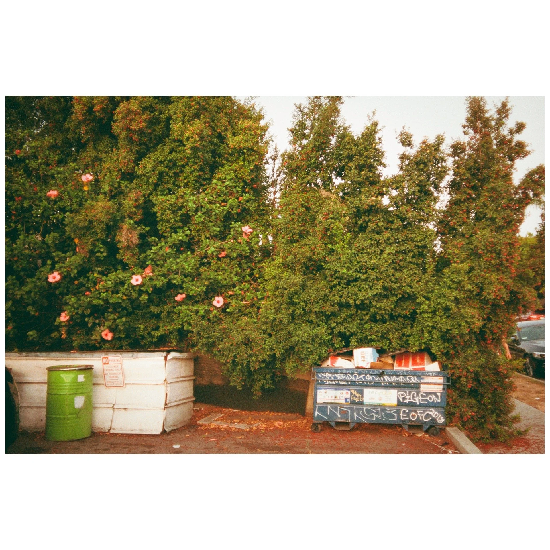 Whitagram-Image 49.JPG