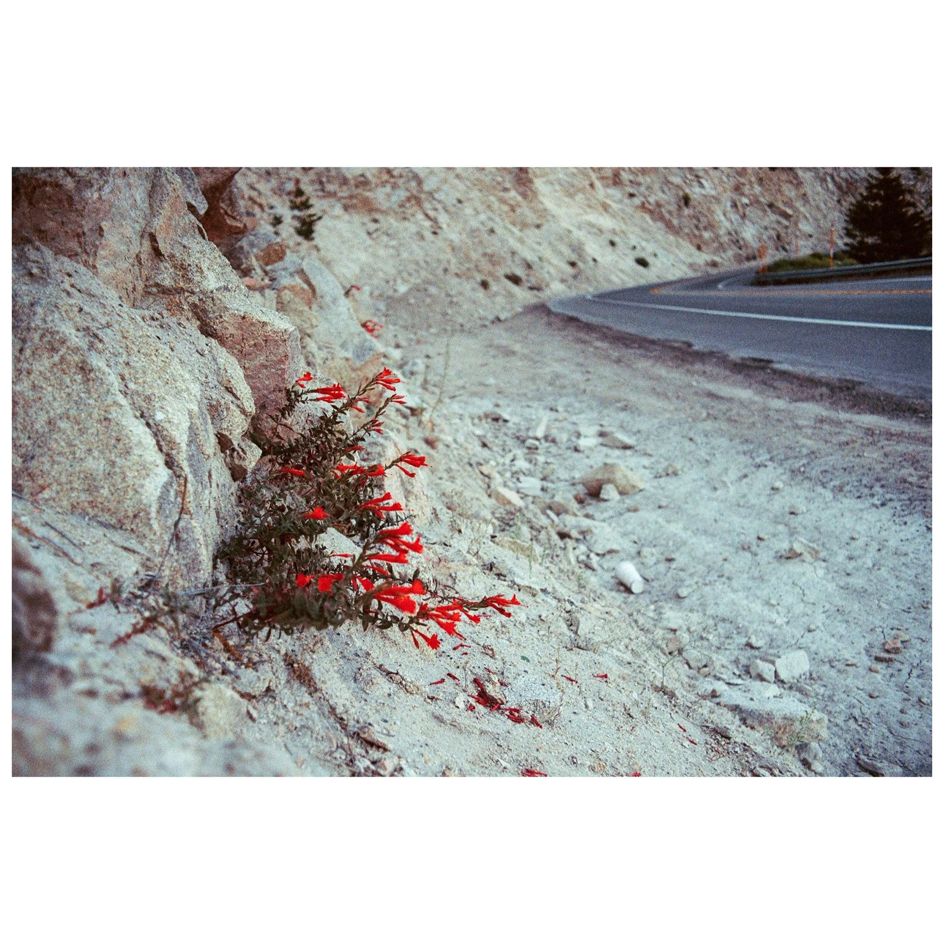 Whitagram-Image 13.JPG