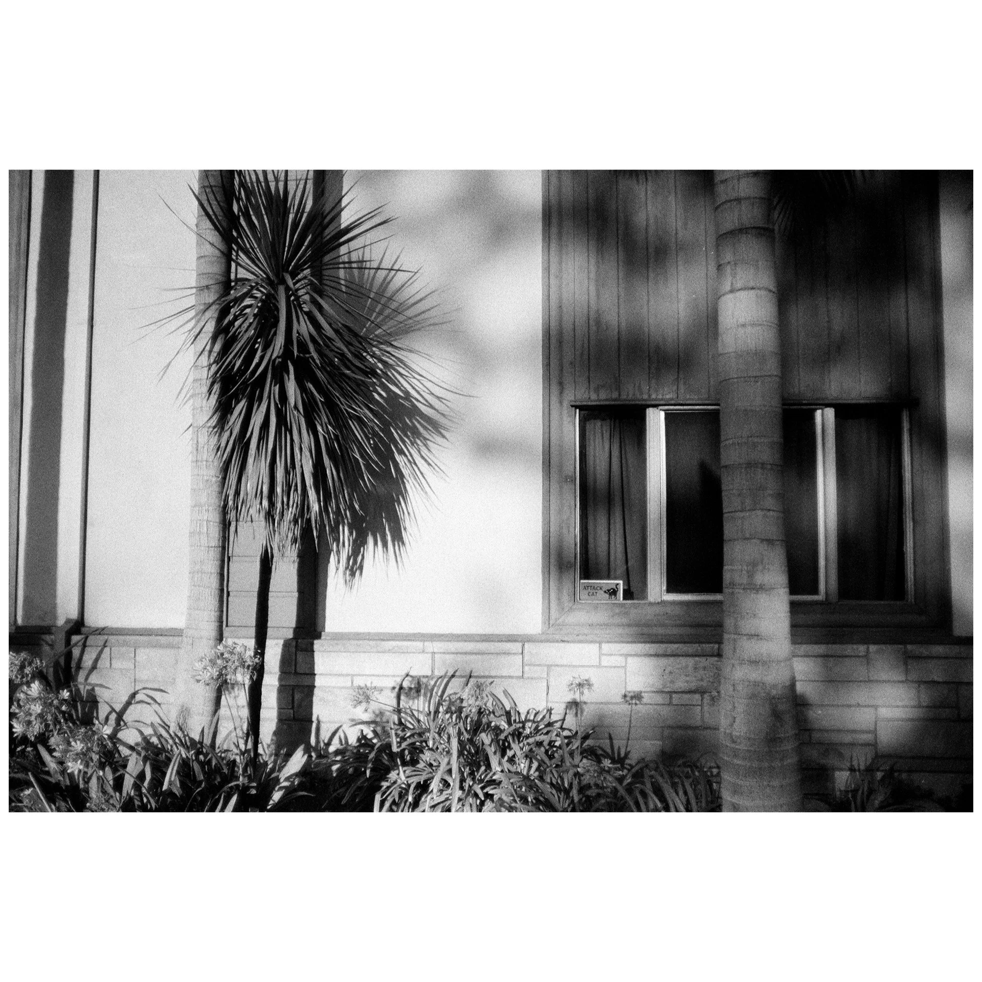 Whitagram-Image 2.JPG