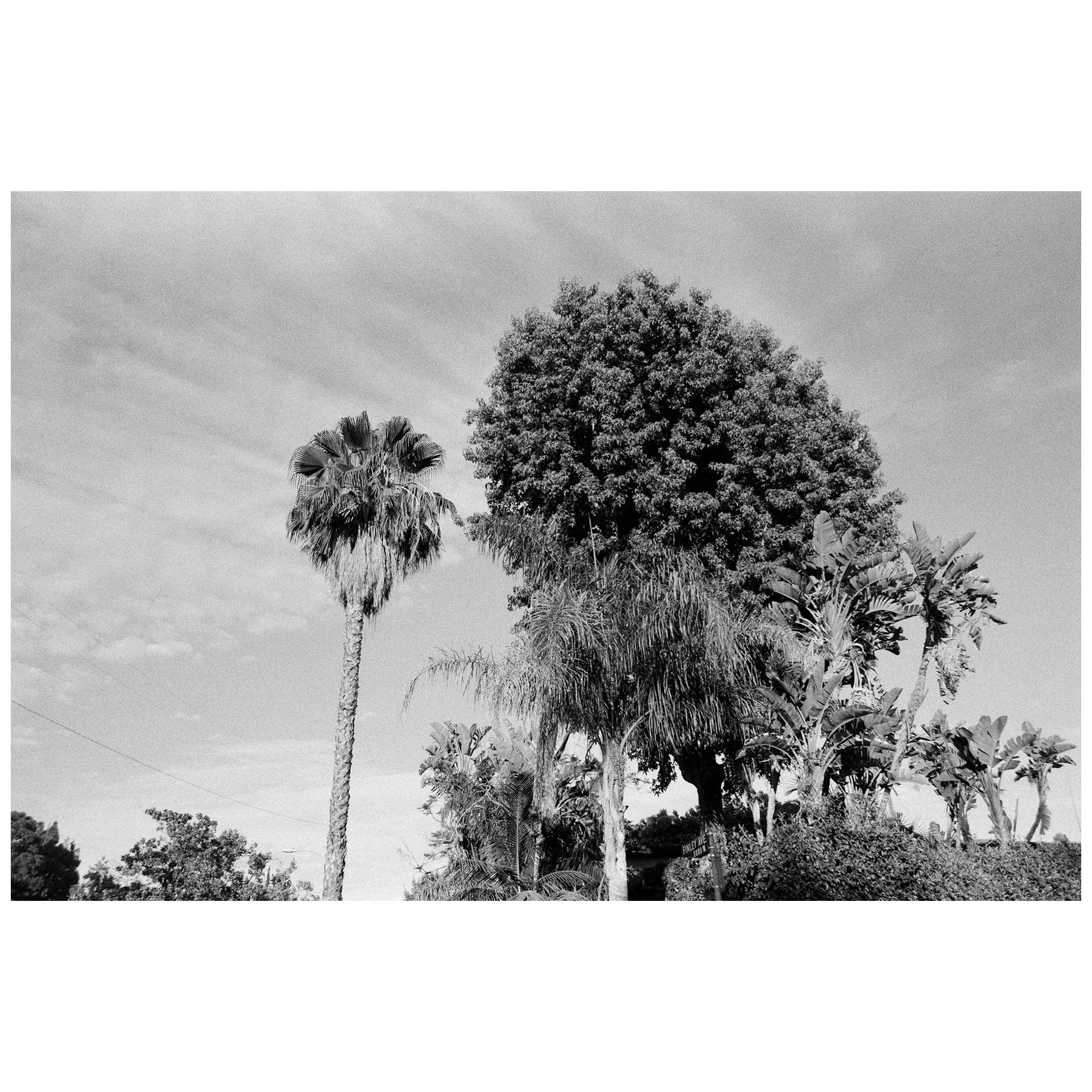 Whitagram-Image 5.JPG