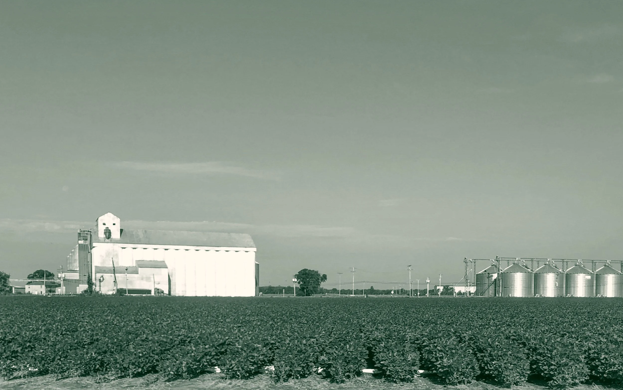 A grain elevator and metal storage silos stand at the edge of a flat green crop field under an open sky in rural Arkansas.