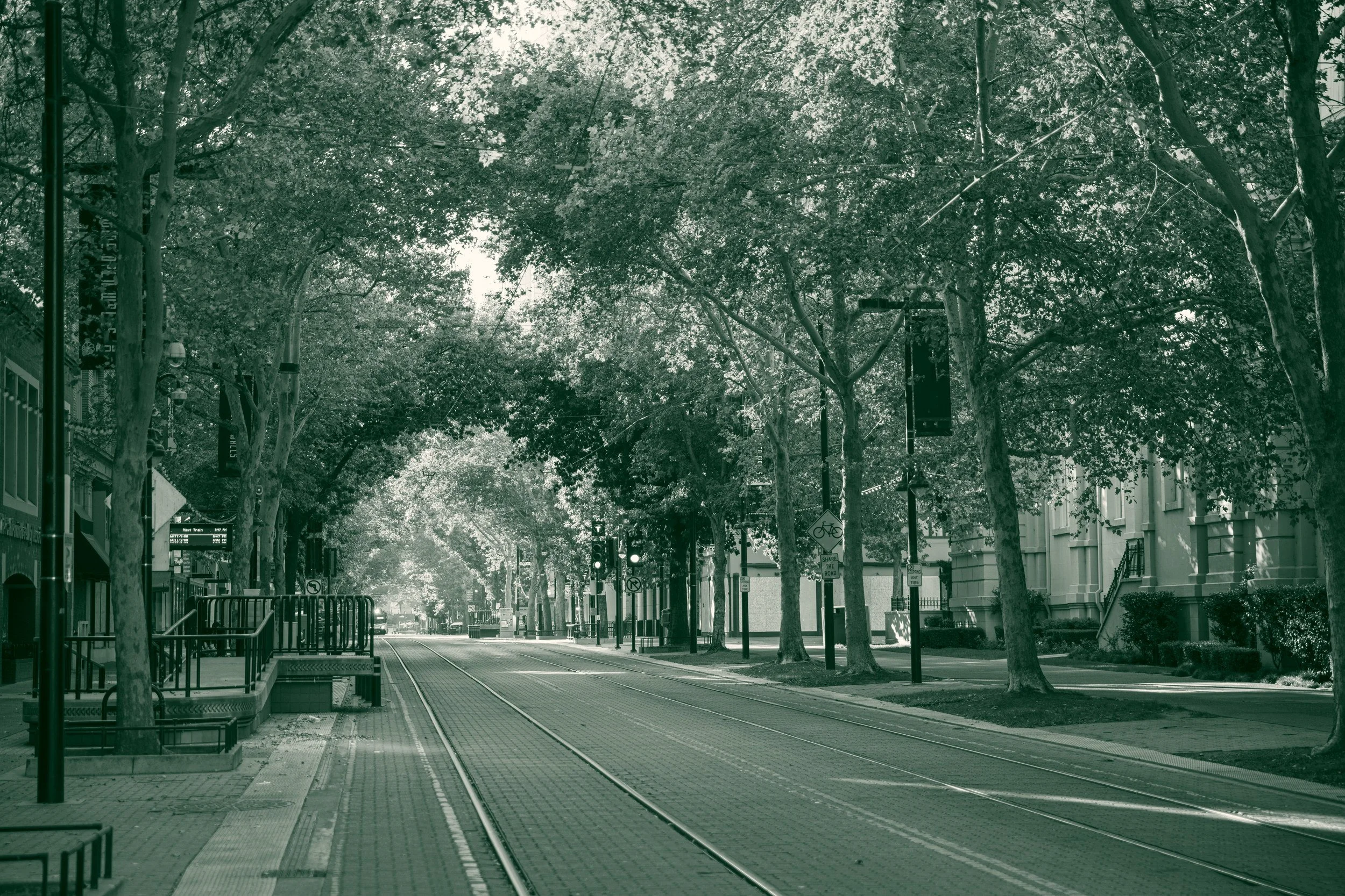 A tree-lined street in downtown Sacramento, California, with light rail tracks running down the centre beneath a full canopy of mature trees.