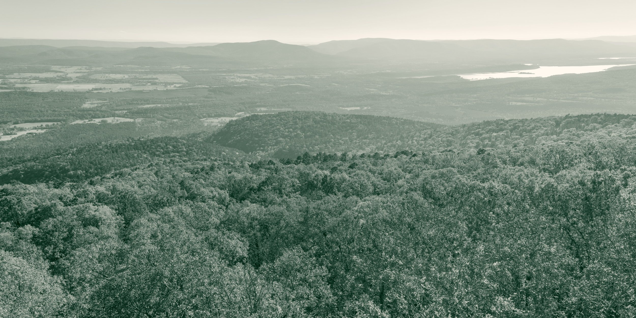 Backlit autumn hardwood forest on the south rim of Mount Magazine, Arkansas, with wooded ridgelines and the valley receding to a pale horizon