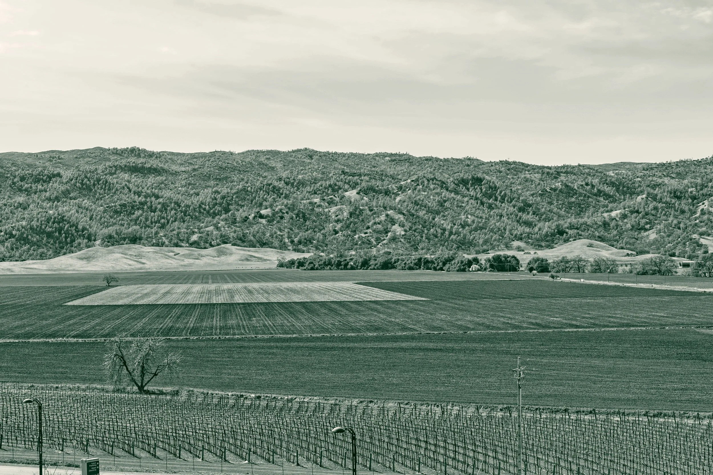 An elevated view across the cultivated valley floor and vineyards of Capay Valley in rural Yolo County, California, with low hills on the horizon.