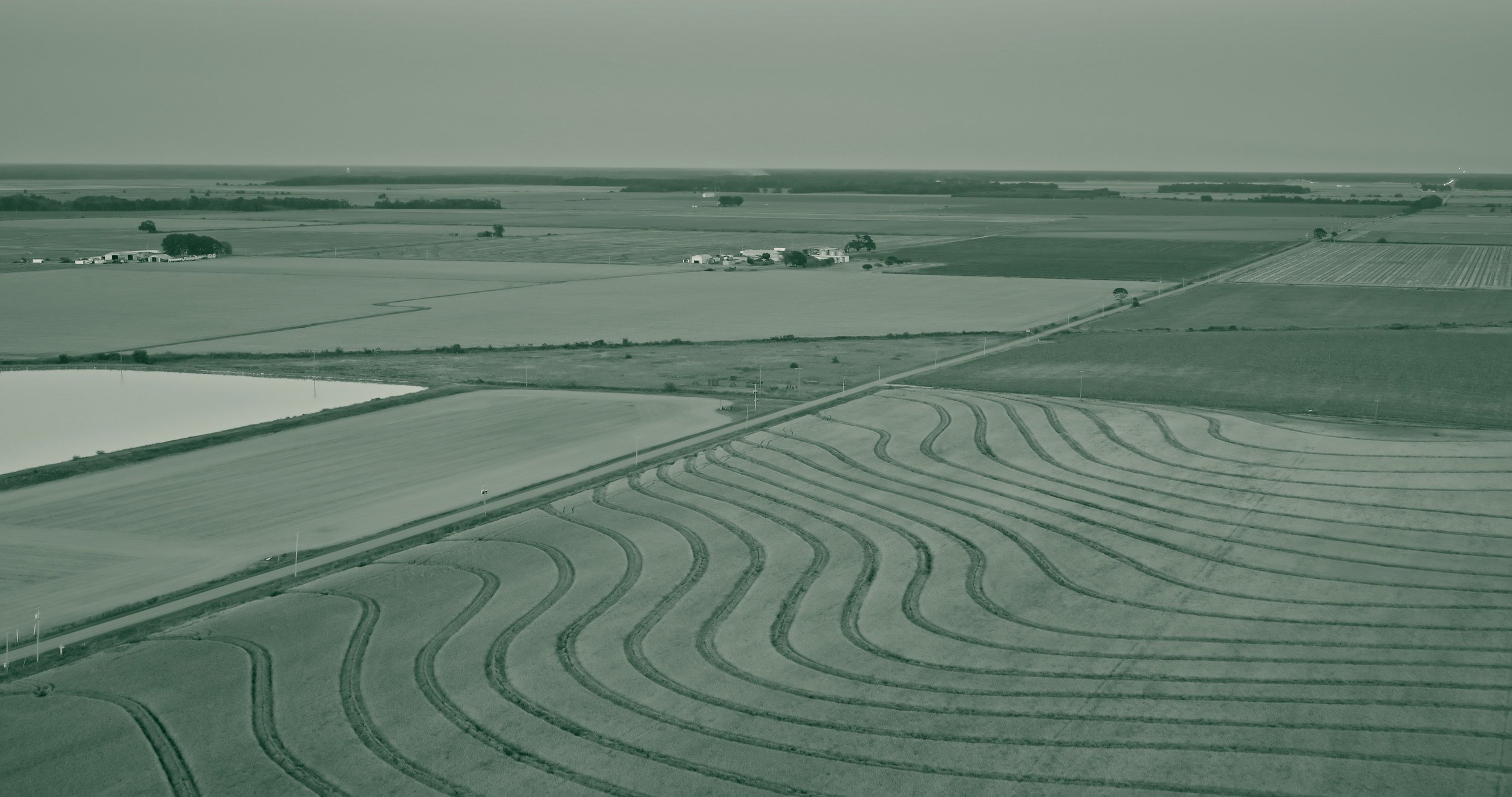 Aerial view of flat farmland near Carlisle, Arkansas, with curving contour rows across a field in the foreground, a straight country road, a flooded field and scattered farmsteads stretching to the horizon.