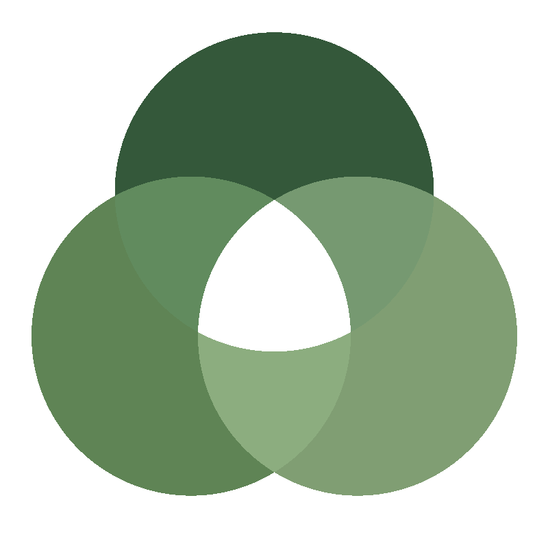 Rulo Strategies logo with green circular design elements.