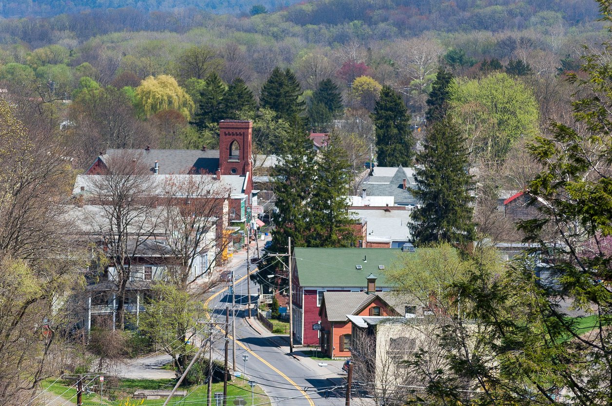 A small town landscape with a winding street, colorful buildings, trees, and a wooded hillside in the background.