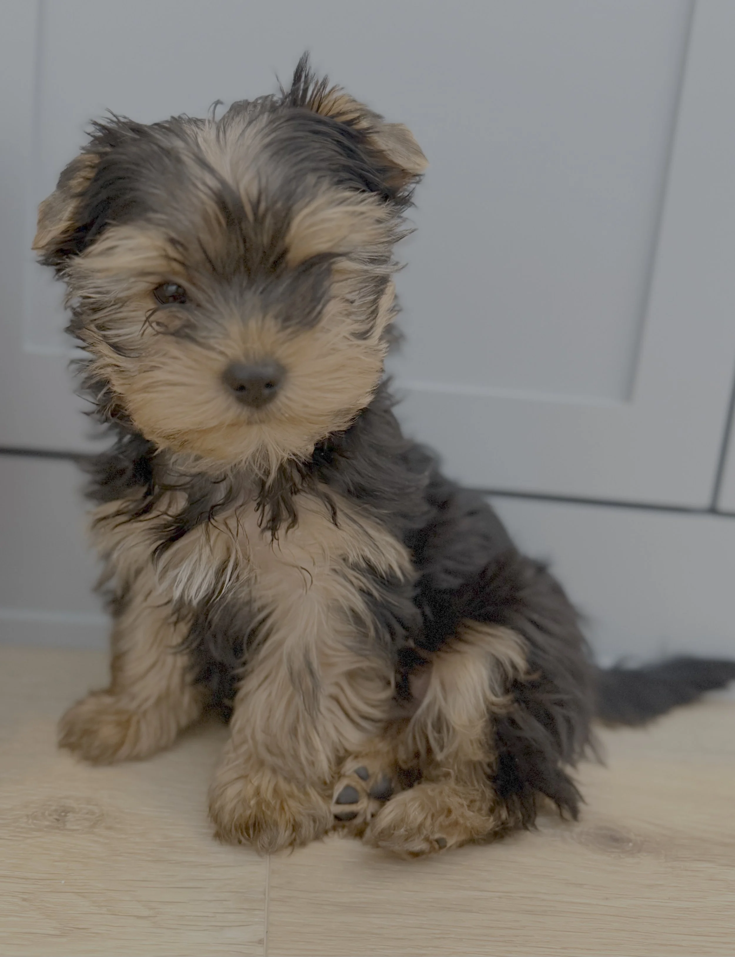 The Yes We Didn’t Plan