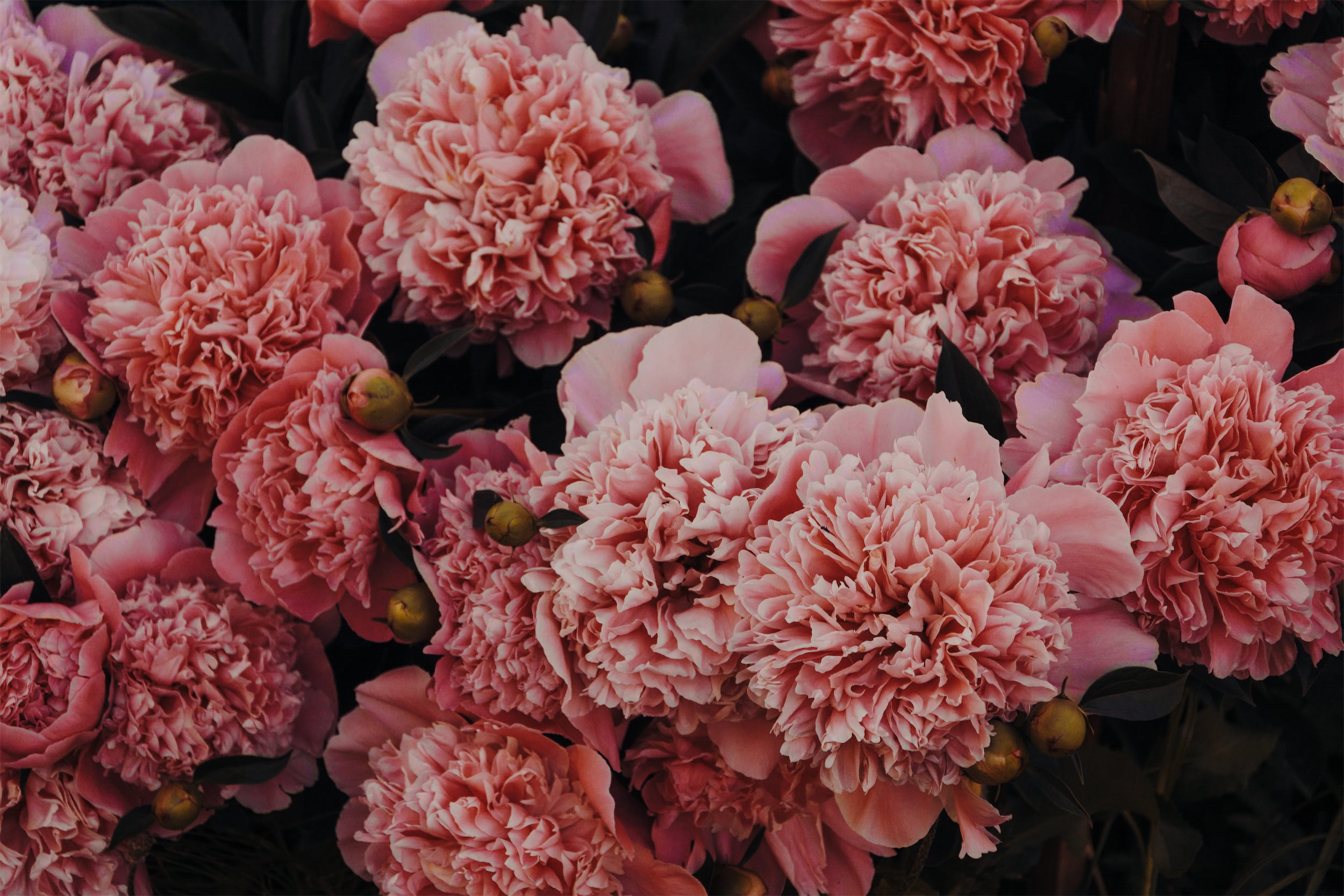 Floral Design Workshop