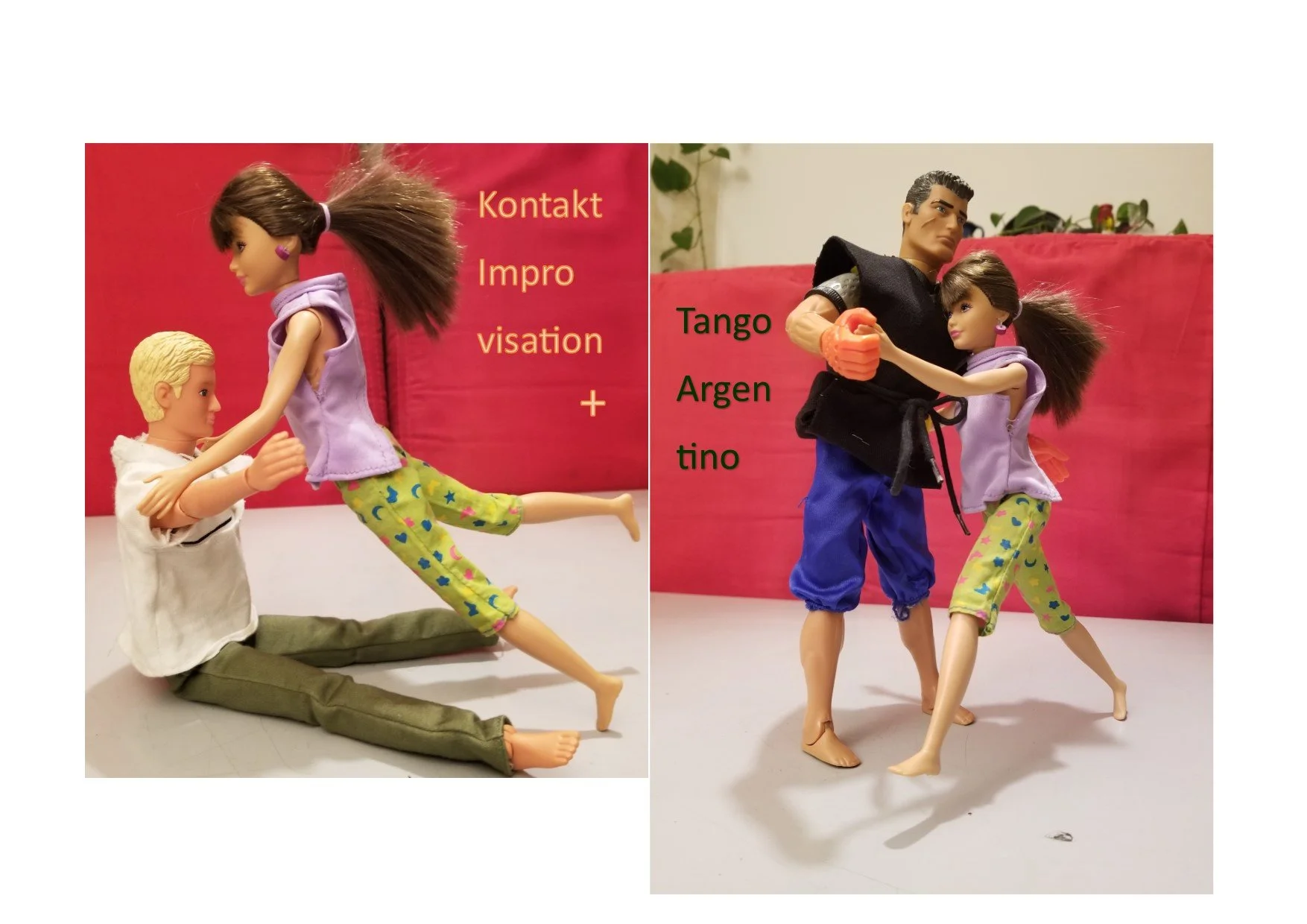 Cologne Contango Festival  2026