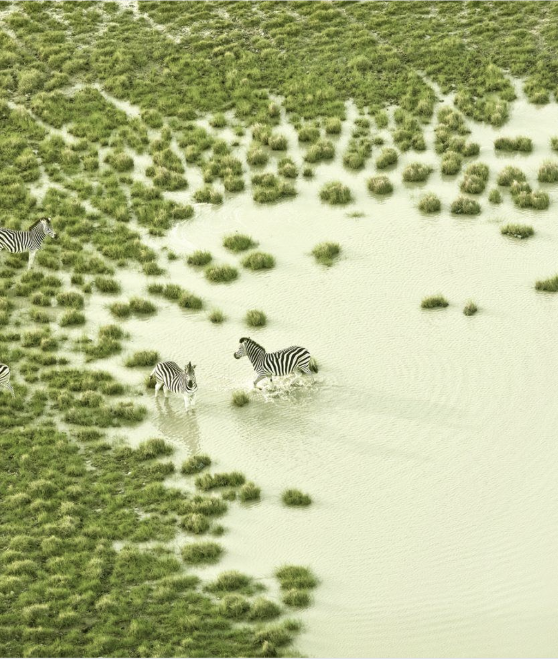 Screenshot 2025-11-20 at 11.37.43 AM.png