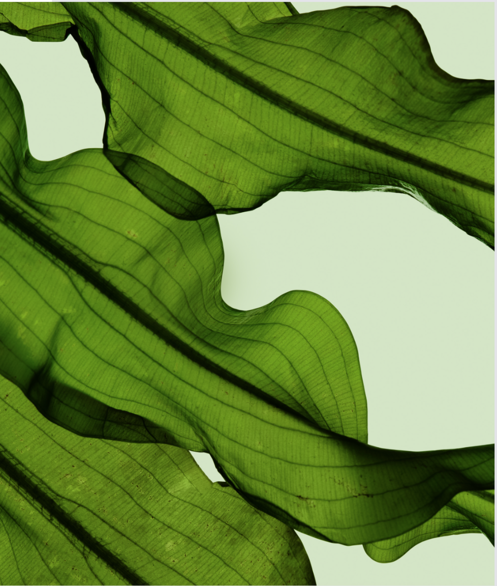 Screenshot 2025-11-20 at 11.27.09 AM.png