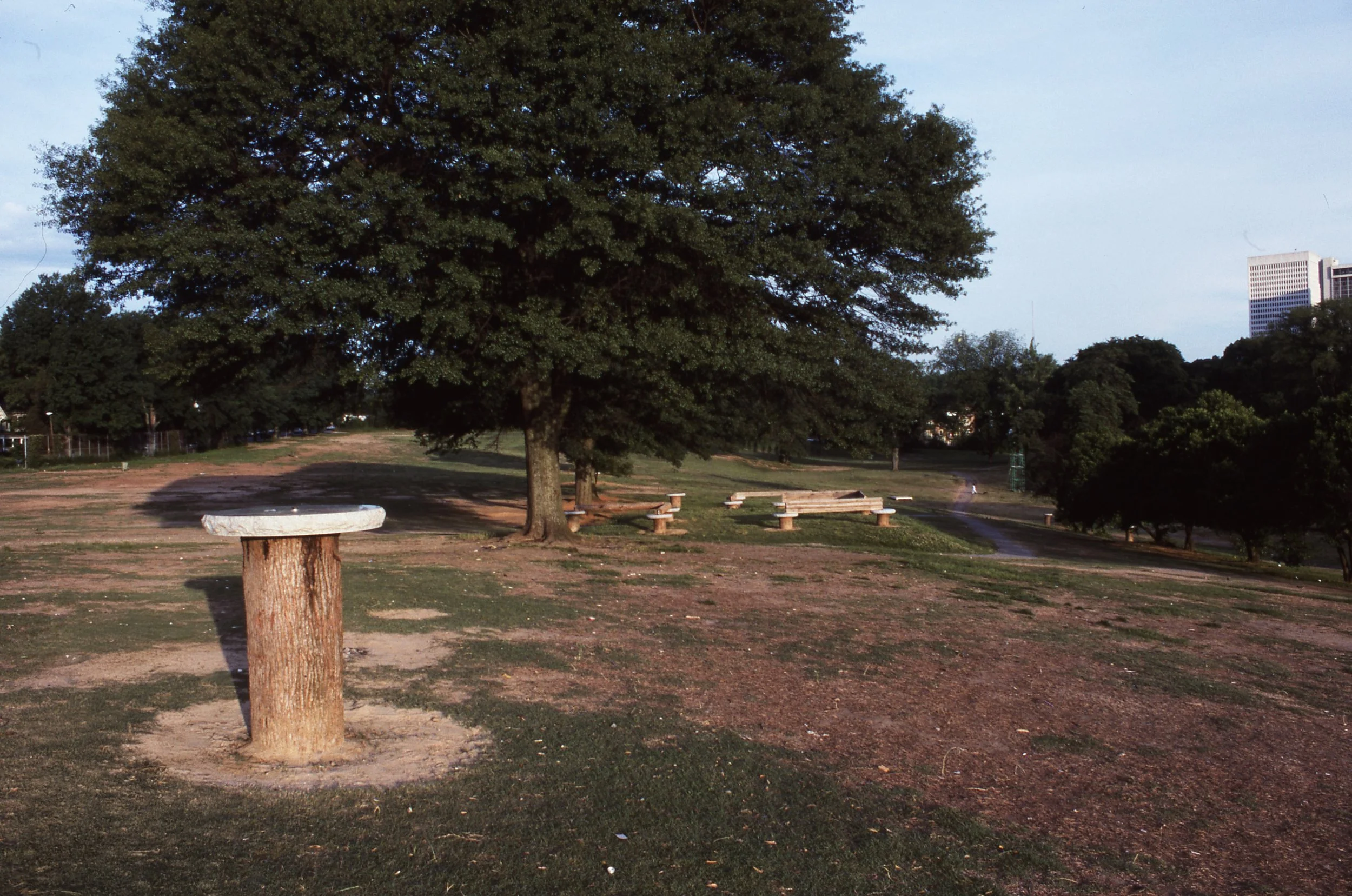 A peaceful park scene with a large tree, a tree stump used as a table, and multiple benches scattered across the grassy area, with some tall buildings visible in the background.