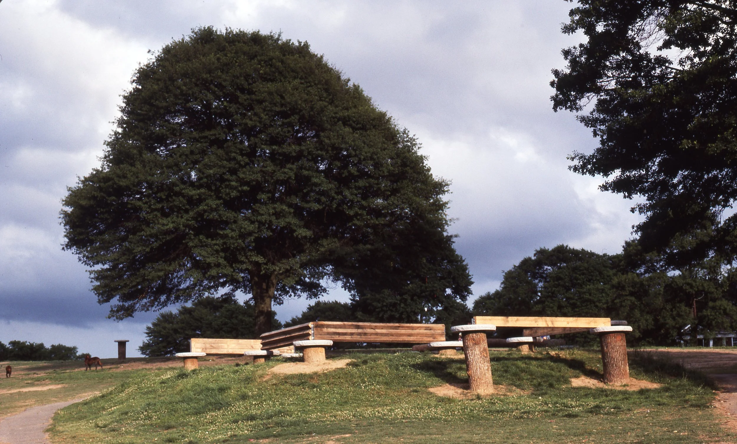 A park scene with a large tree, three wooden benches, grassy area, and a cloudy sky.