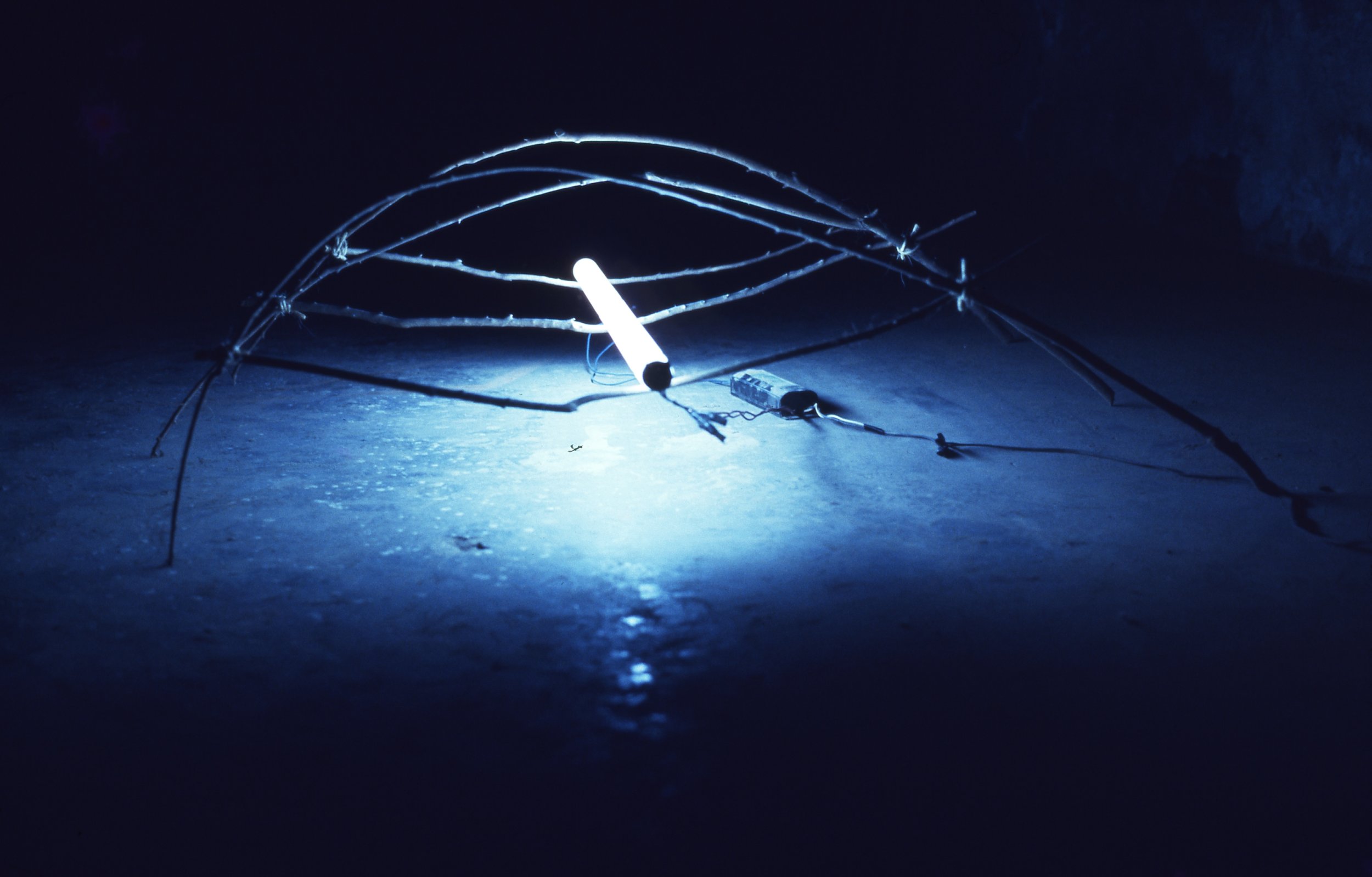 A small robot with wire legs and a glowing light on top, illuminated by blue light, sitting on a dark floor.