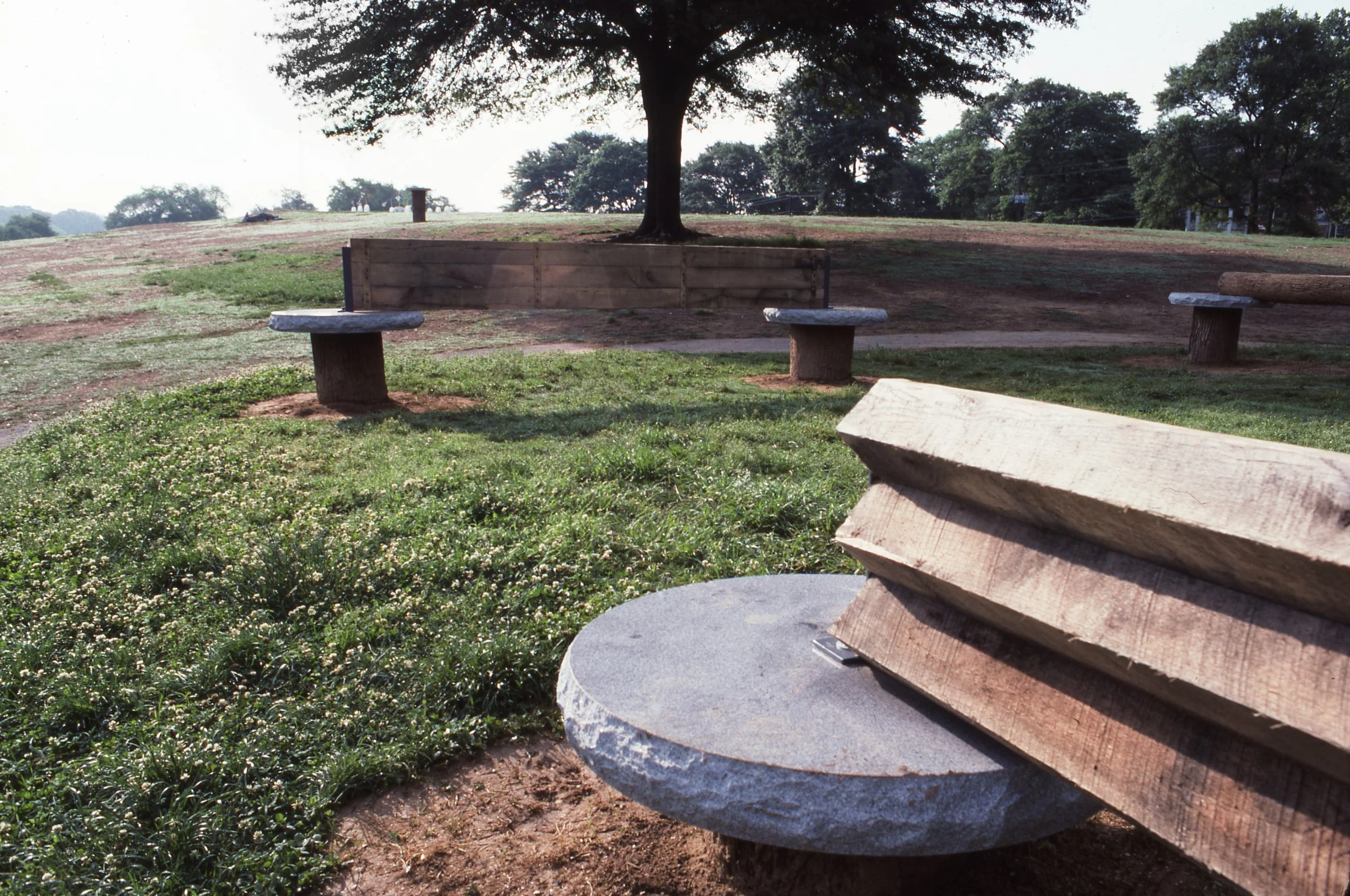 A park scene with four stone benches and a wooden platform around a large tree, with manicured grass and small white flowers in the foreground and additional trees in the background.