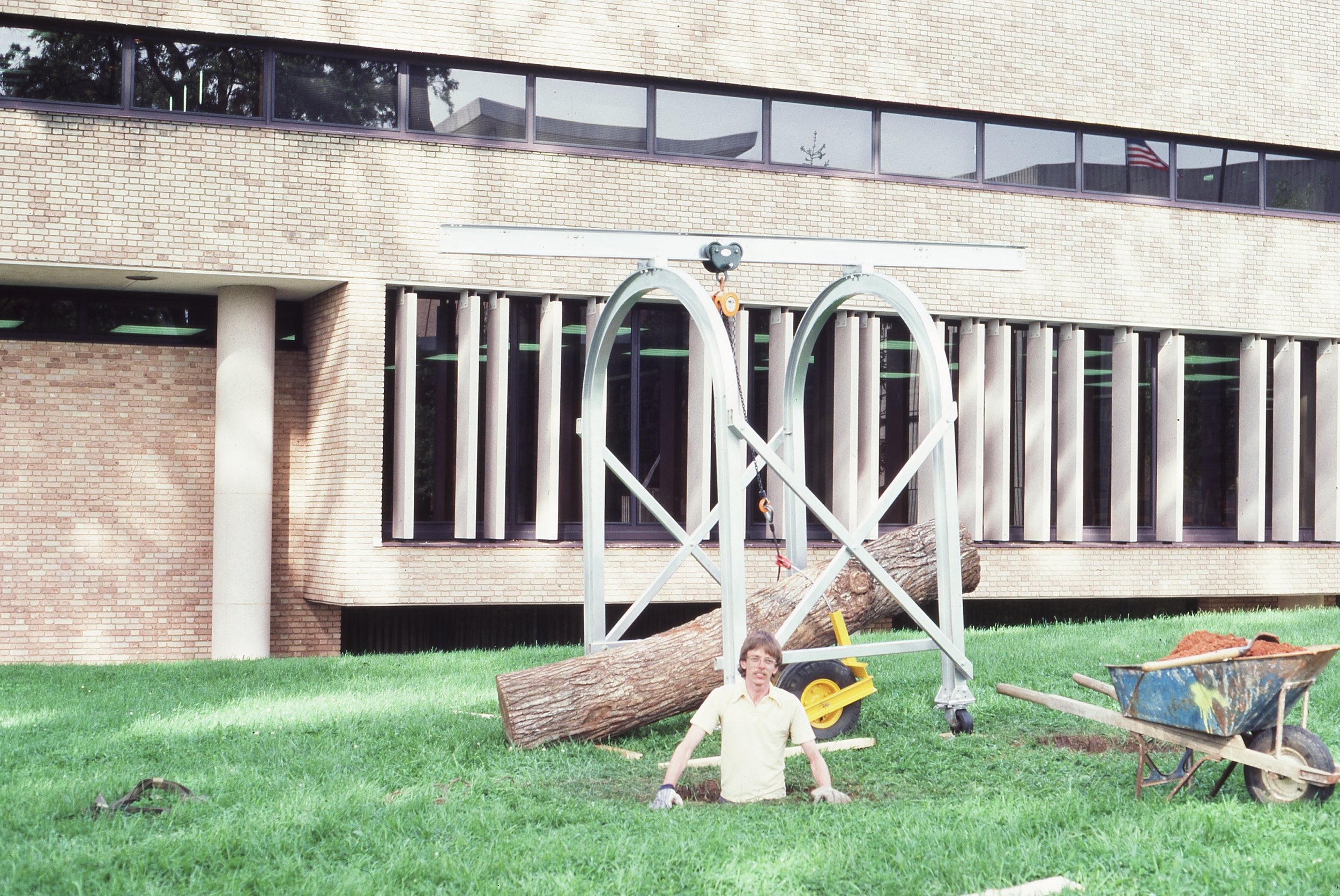 A man standing up through the ground in front of a construction site on a grassy lawn, with a large fallen tree, a wheelbarrow filled with dirt, and a metal structure for tree removal.