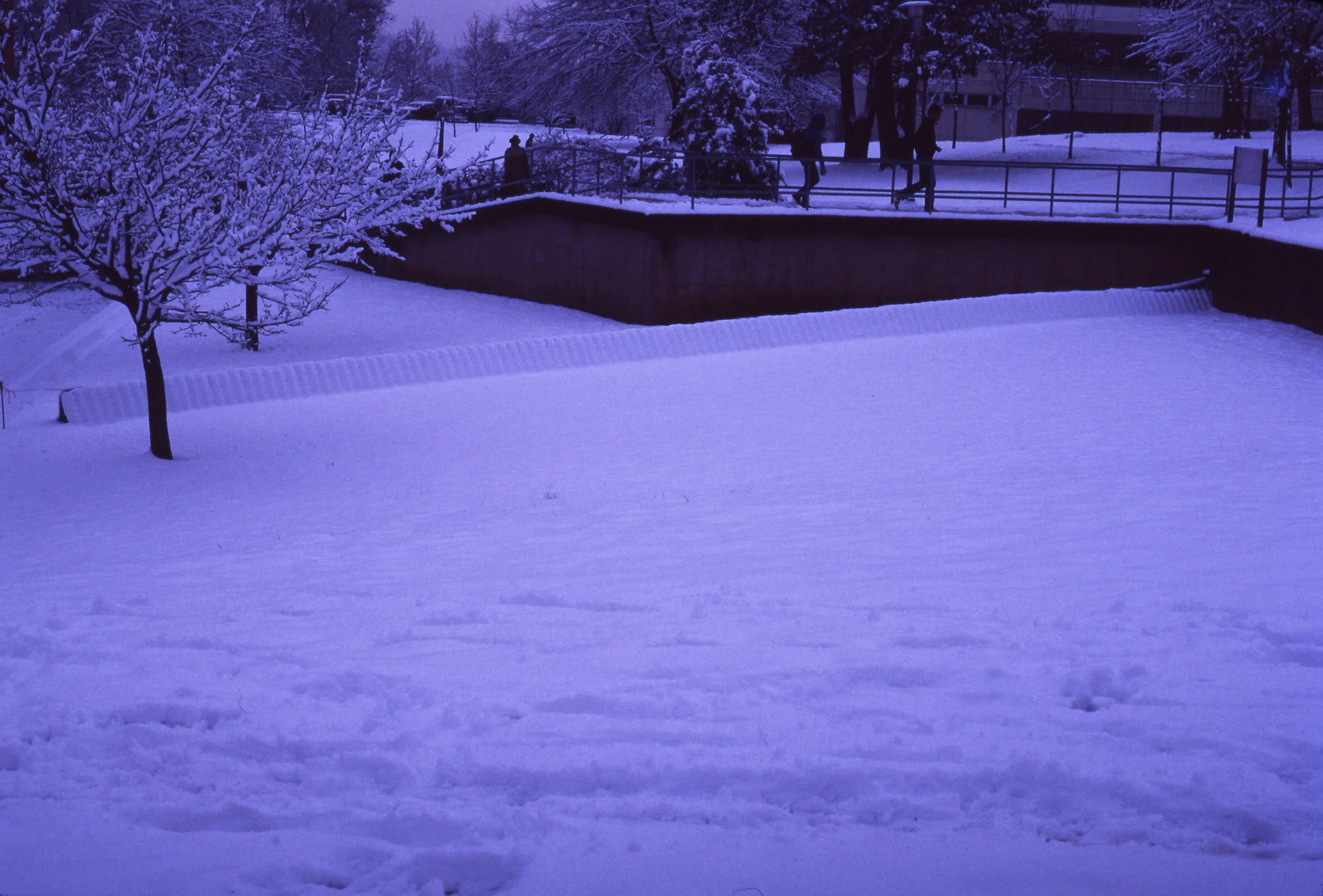 Snow-covered park with a single tree in the foreground and a bridge in the background. Several people are walking on the bridge and along the path, visible in the snowy scene.