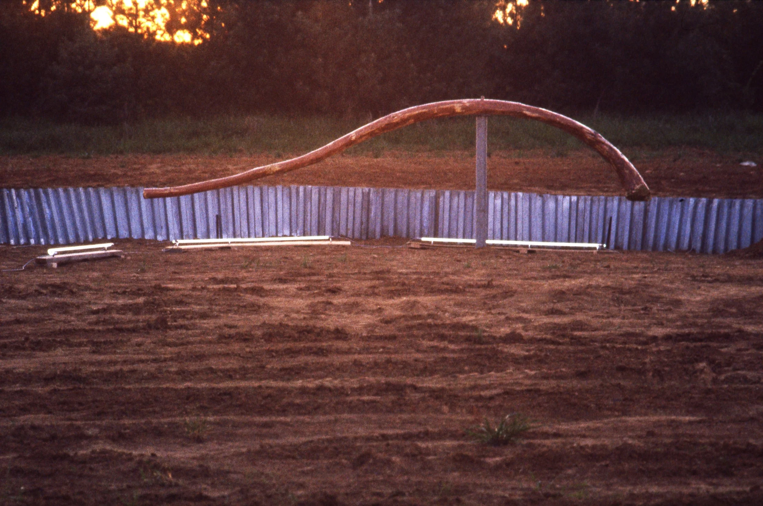 A large dinosaur sculpture, resembling a brontosaurus, with a long neck and tail, made out of wood, situated behind a metal fence in an outdoor area with dirt ground and some grass, during sunset.