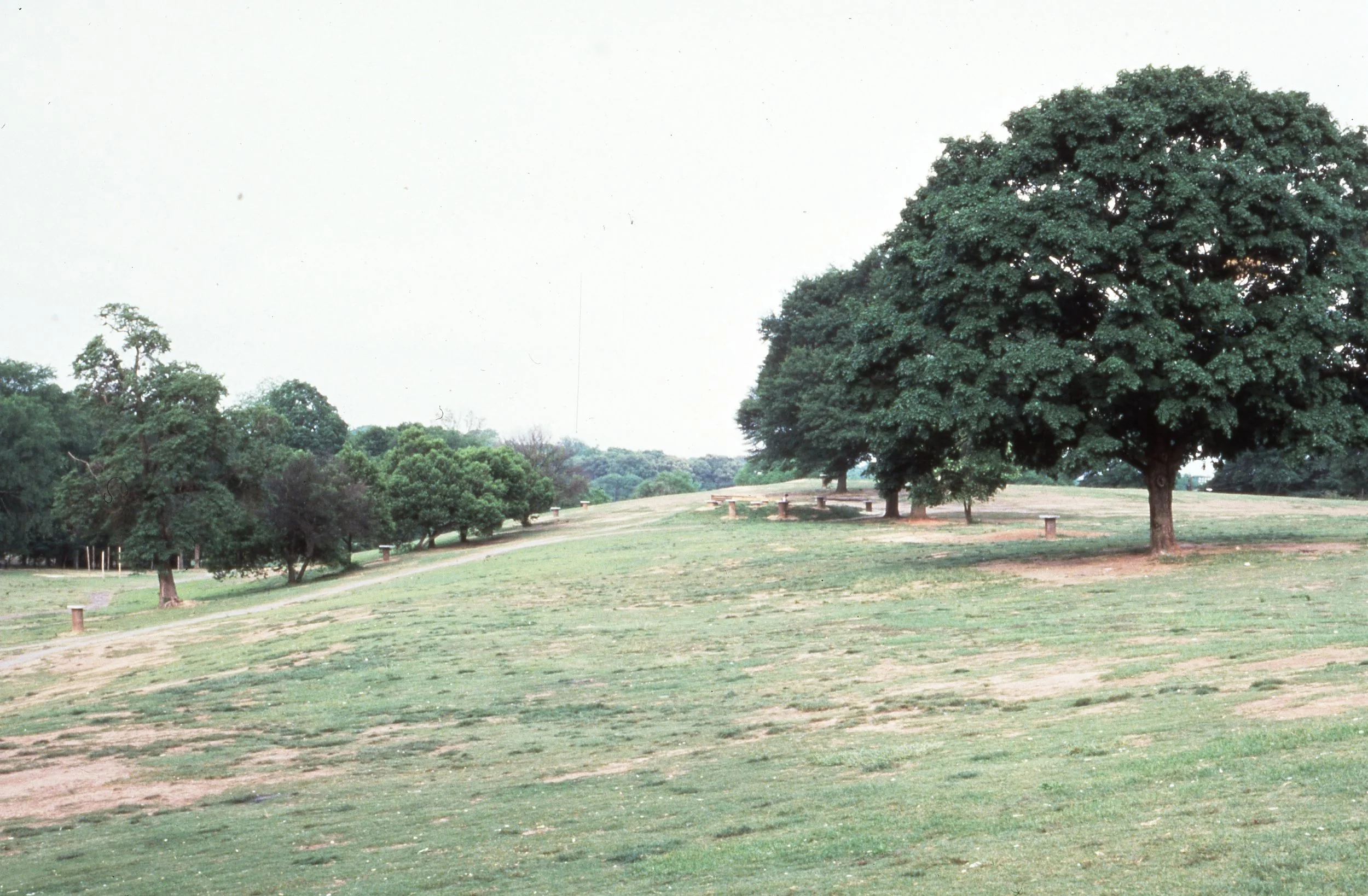 A park with a grassy area, trees, and benches, with a dirt trail winding through it.