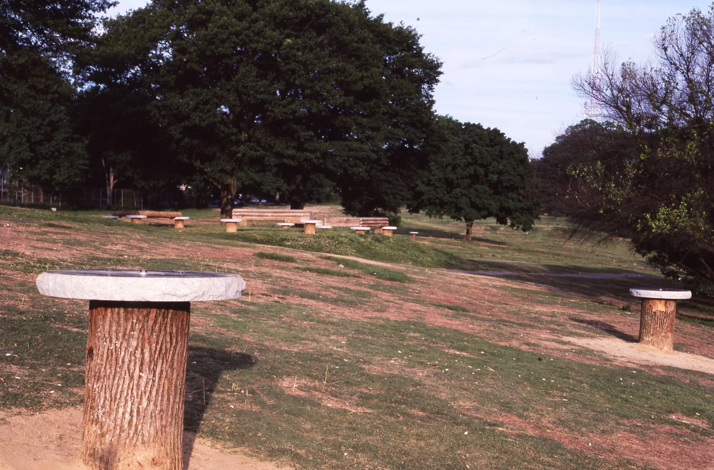 A park with trimmed grass, large trees, and stone tables with tree trunk bases and flat stone tops, arranged in a pattern.