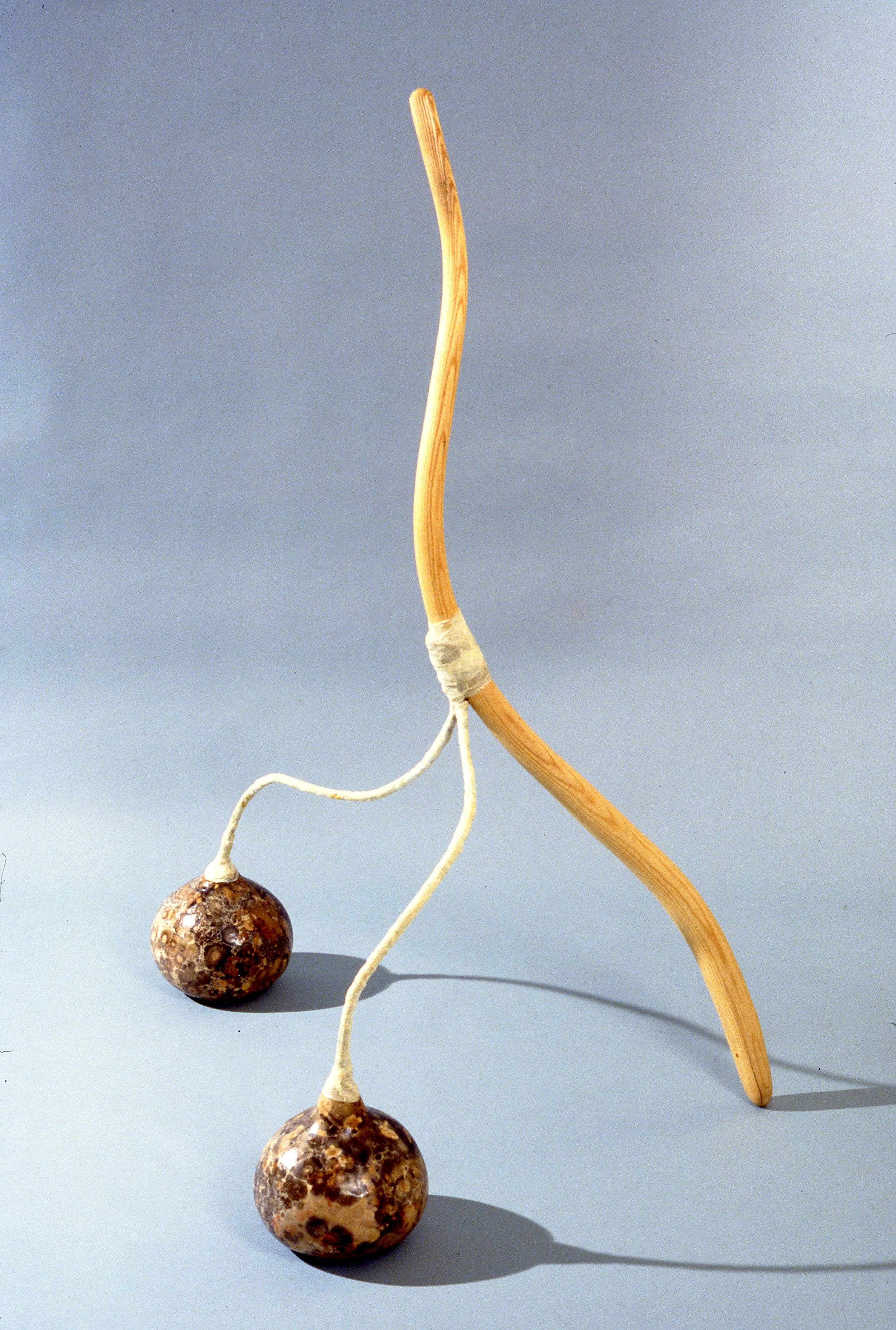 A walking stick with two roots attached at the bottom, resembling a face with eyes, set against a plain gray background.