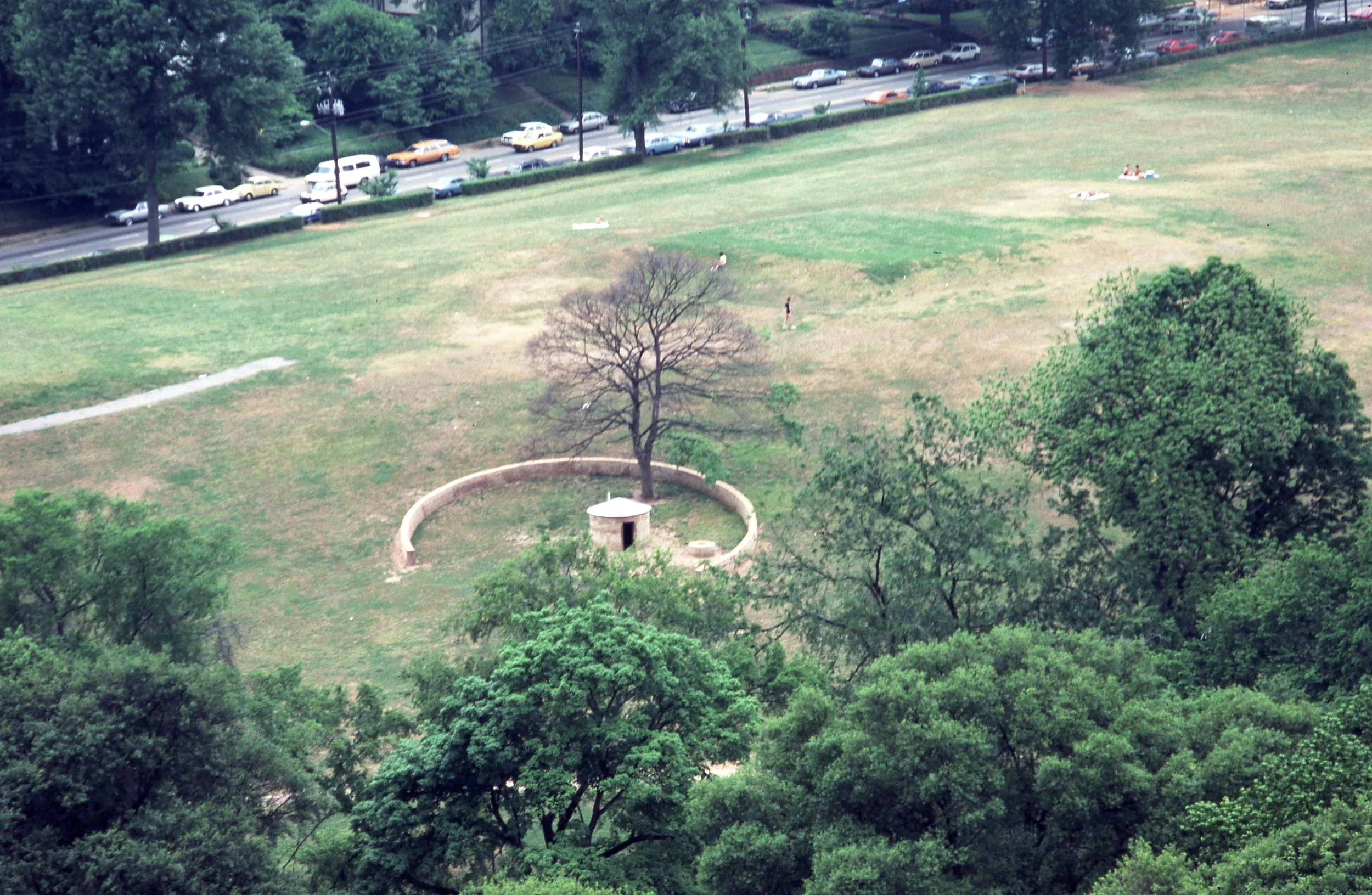 A park with green grass, trees, and a small circular structure with a tree in the center. There are a few people relaxing or sitting on the grass, and a parking lot with cars along the street at the top of the image.
