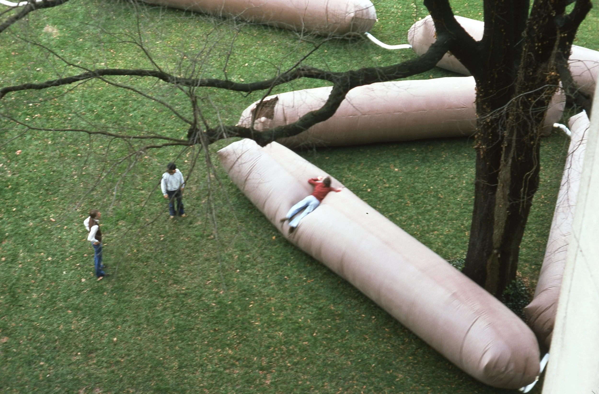 A person in an orange top and light blue jeans is lying on a large pink inflatable cushion outdoors, surrounded by three other people standing on the grass nearby. There is a leafless tree with dark twisted branches over the scene.