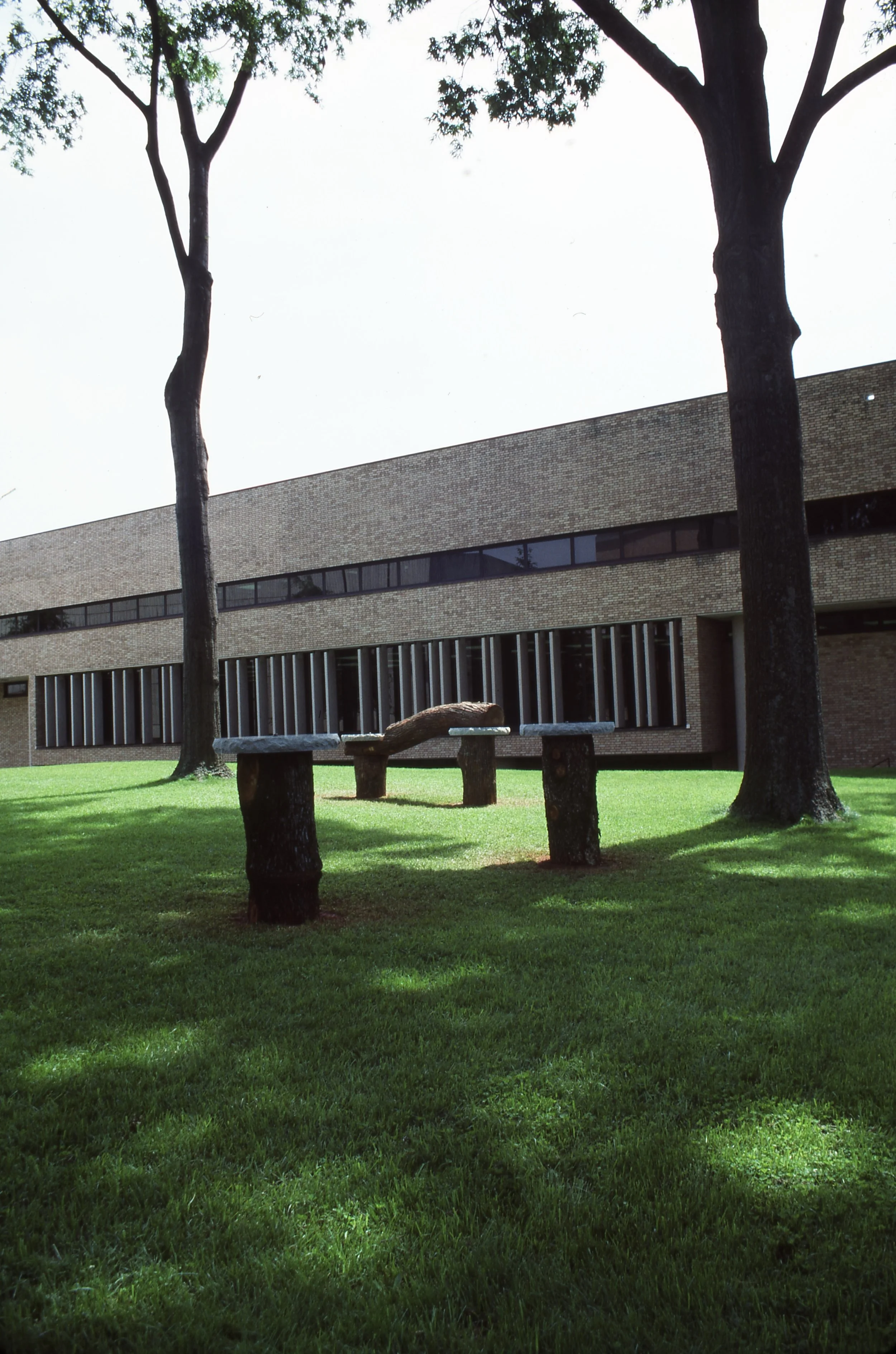 A grassy park with two tall trees in front of a modern brick building, and a wooden bench with a curved backrest in the foreground.